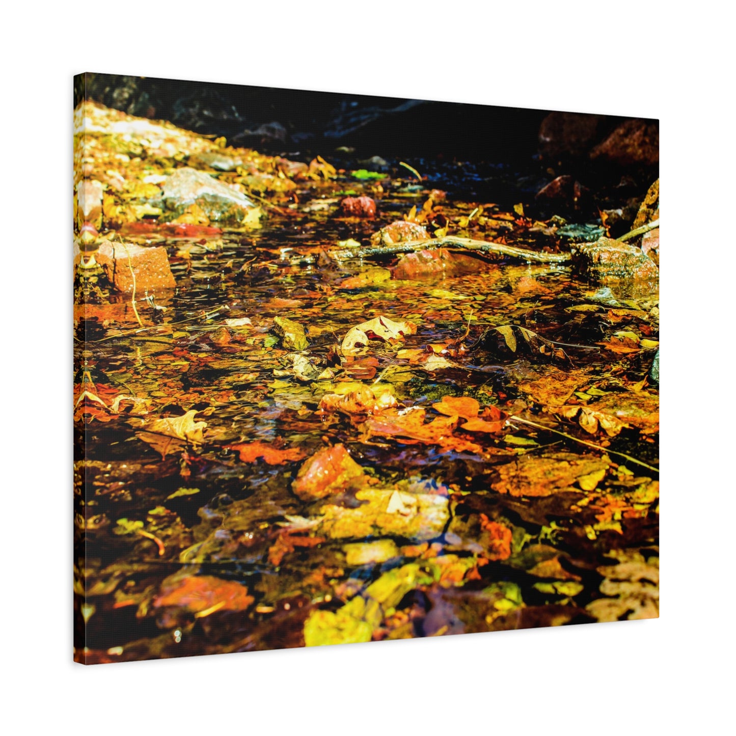 Canvas Print - Fall Leaves in Quiet Stream Photography