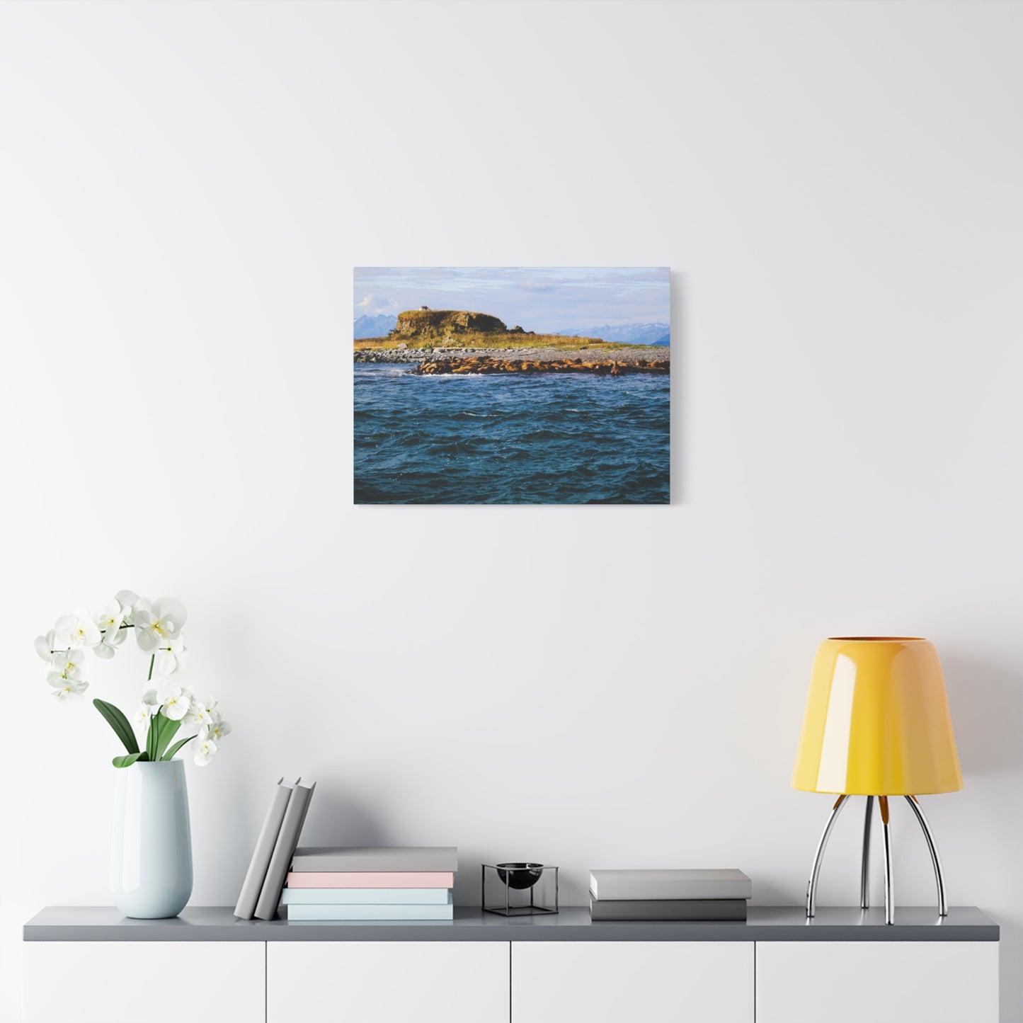 Canvas Print - Photo of Seal Island