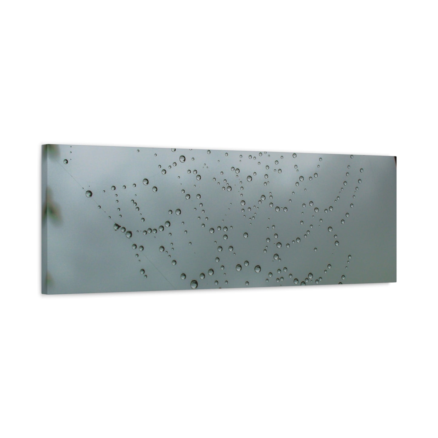 Canvas Print - Morning Dew on Spider Web Photo