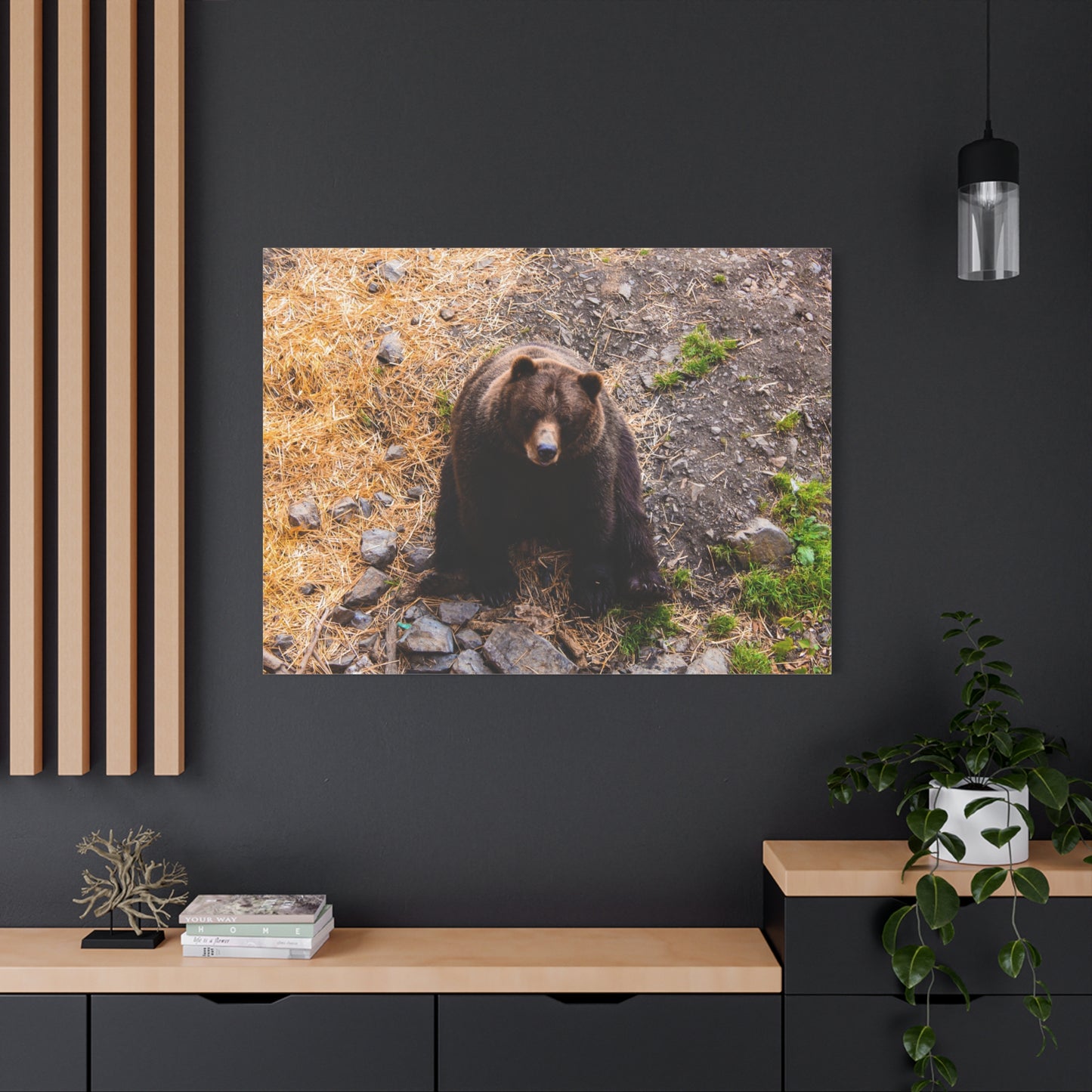 Canvas Print - Staring Bear Photograph