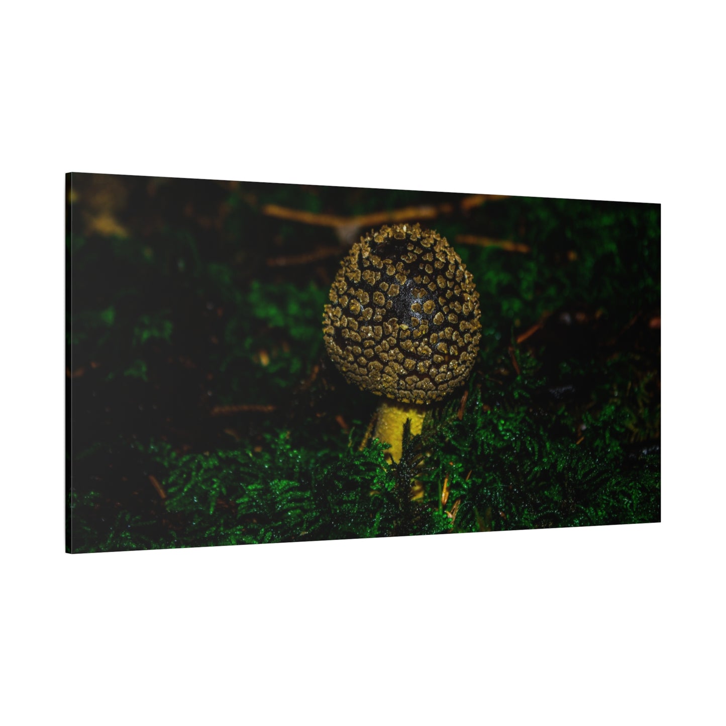 Canvas Print - Micro Mushroom Design