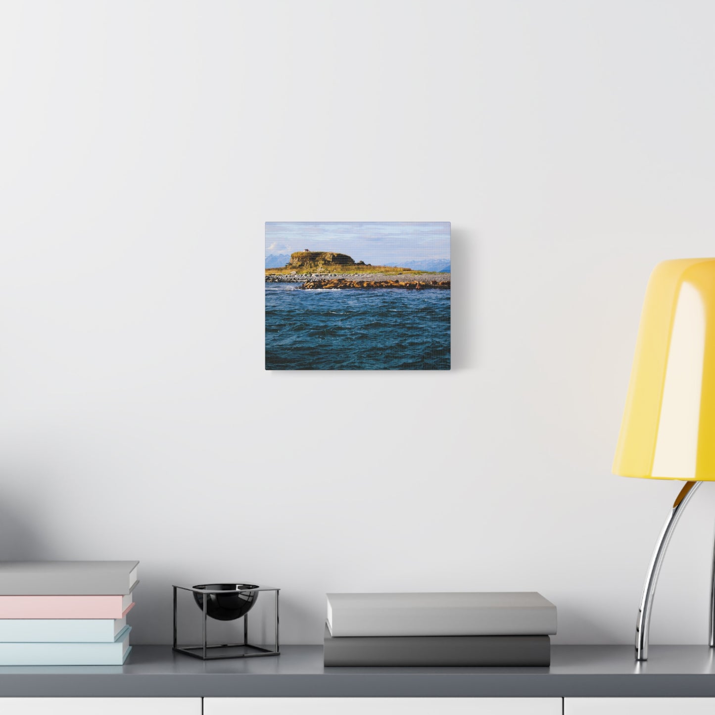 Canvas Print - Photo of Seal Island