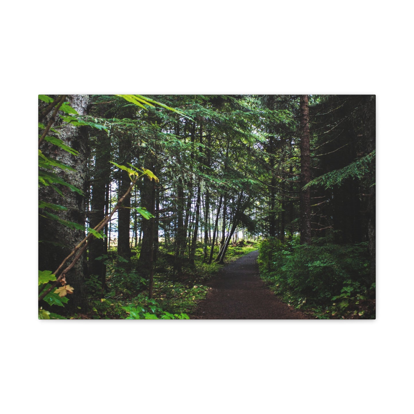 Copy of Canvas Art Print - Trail Through The Trees-Photograph