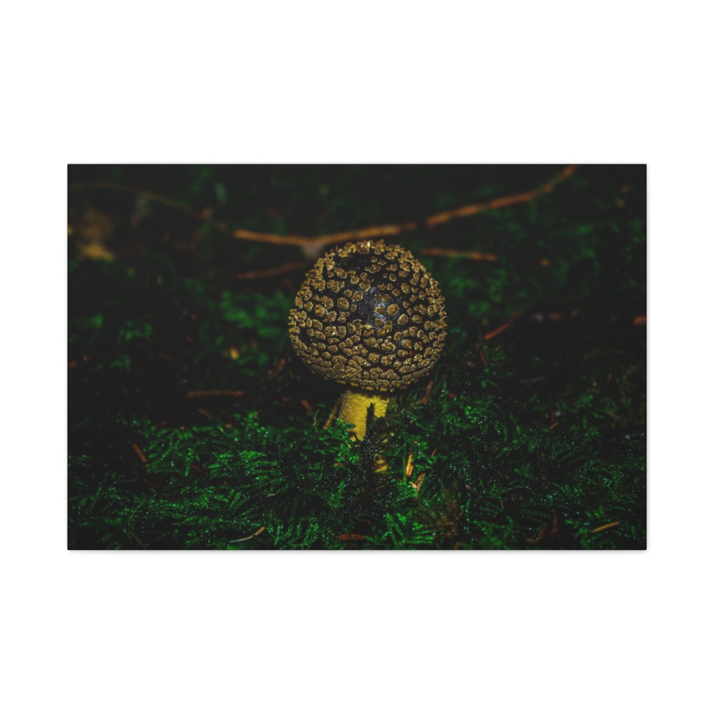 Canvas Print - Micro Mushroom Design