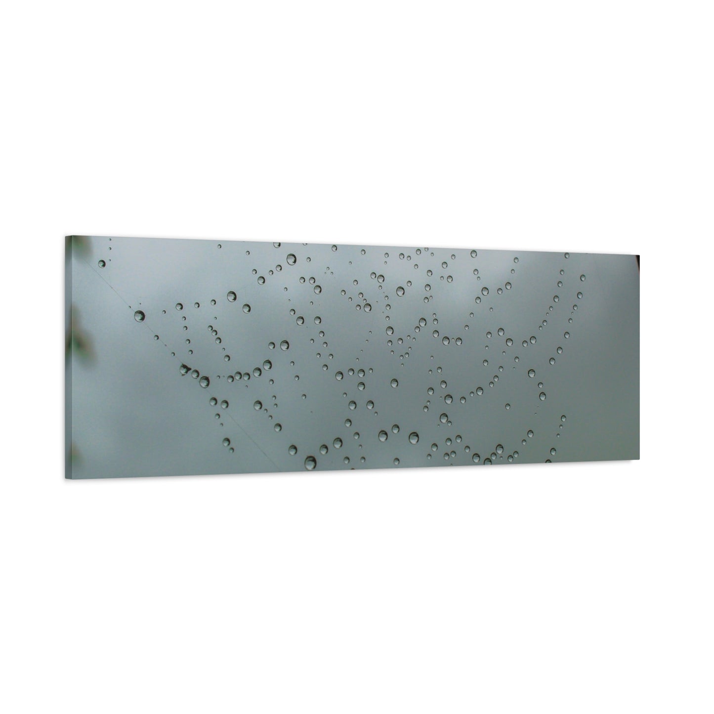 Canvas Print - Morning Dew on Spider Web Photo