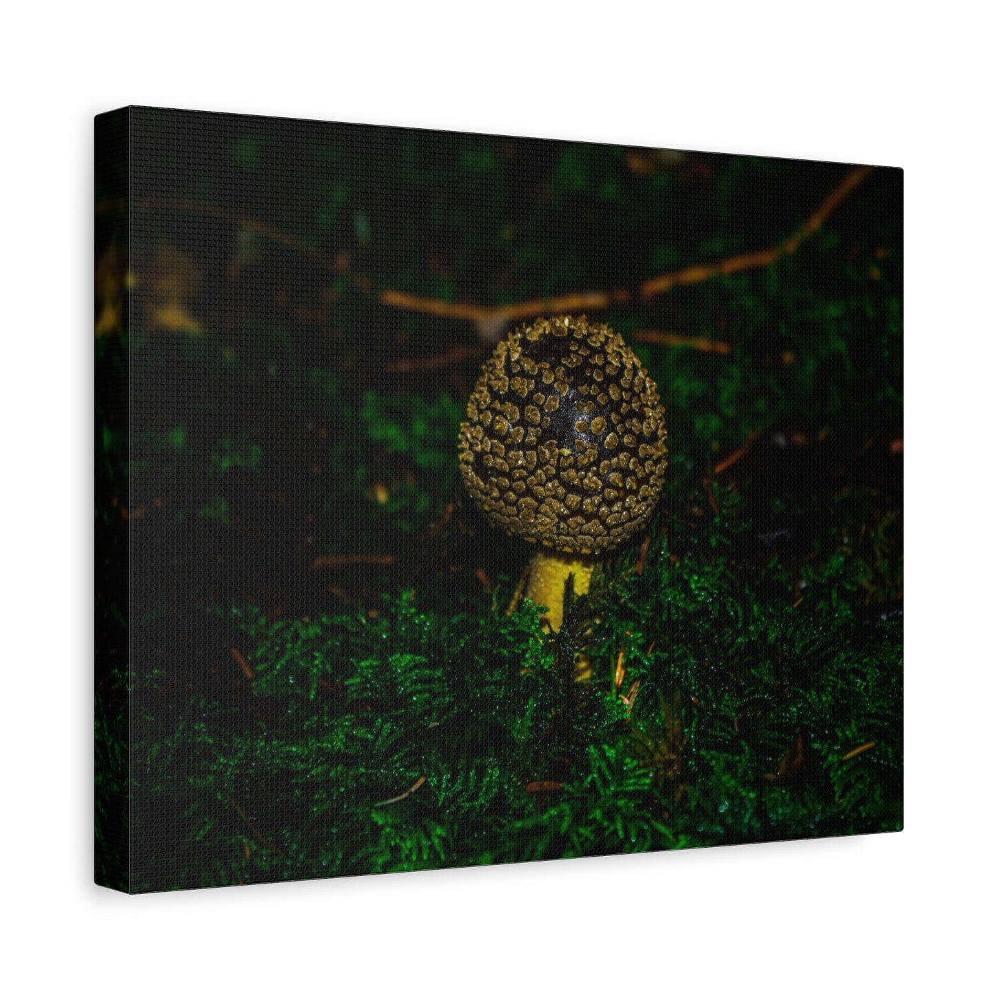 Canvas Print - Micro Mushroom Design