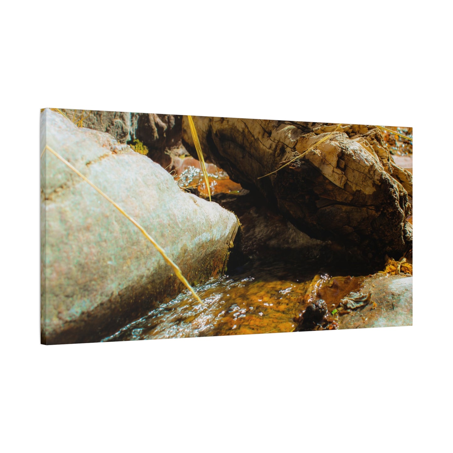 Canvas Print Lazy Log Photography