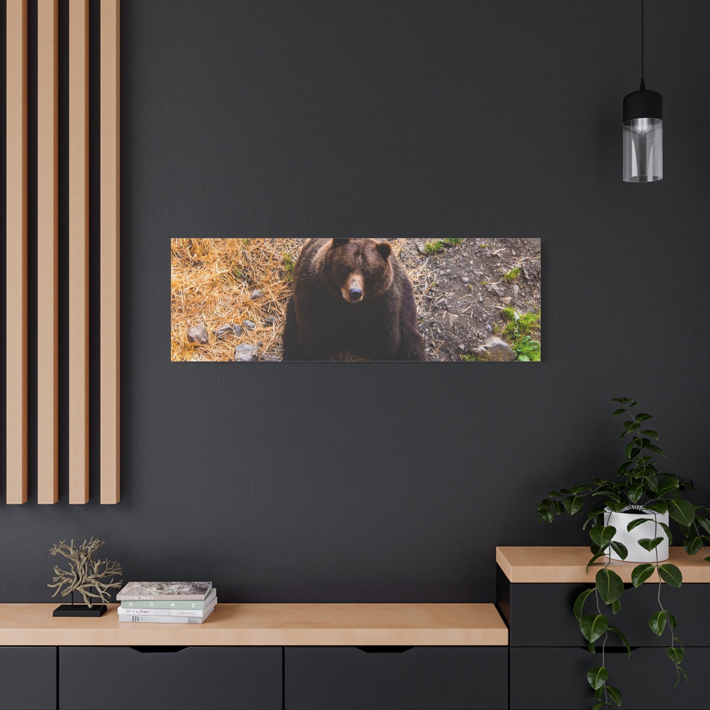 Canvas Print - Staring Bear Photograph