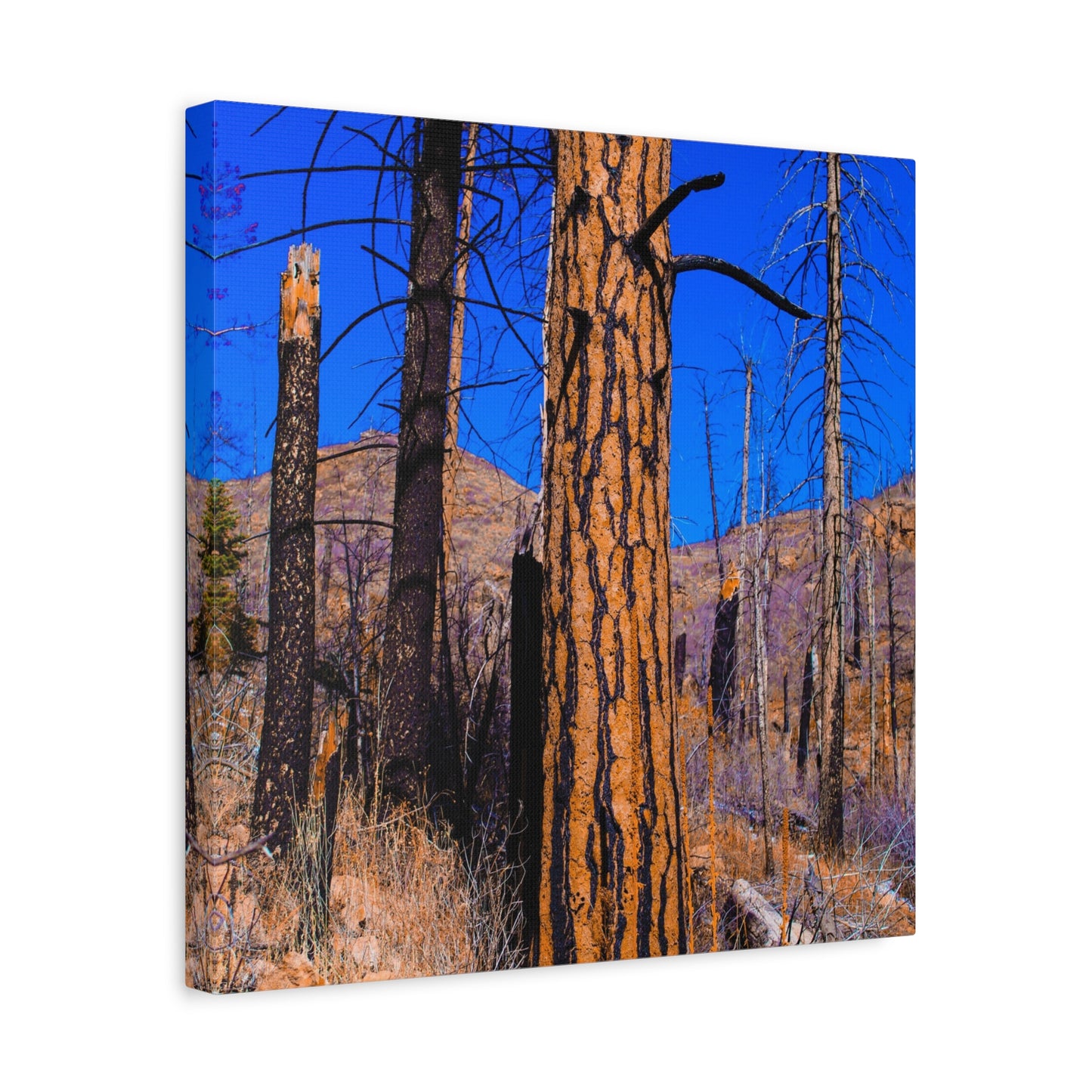 Canvas Print - Thunder Struck Tree Photo