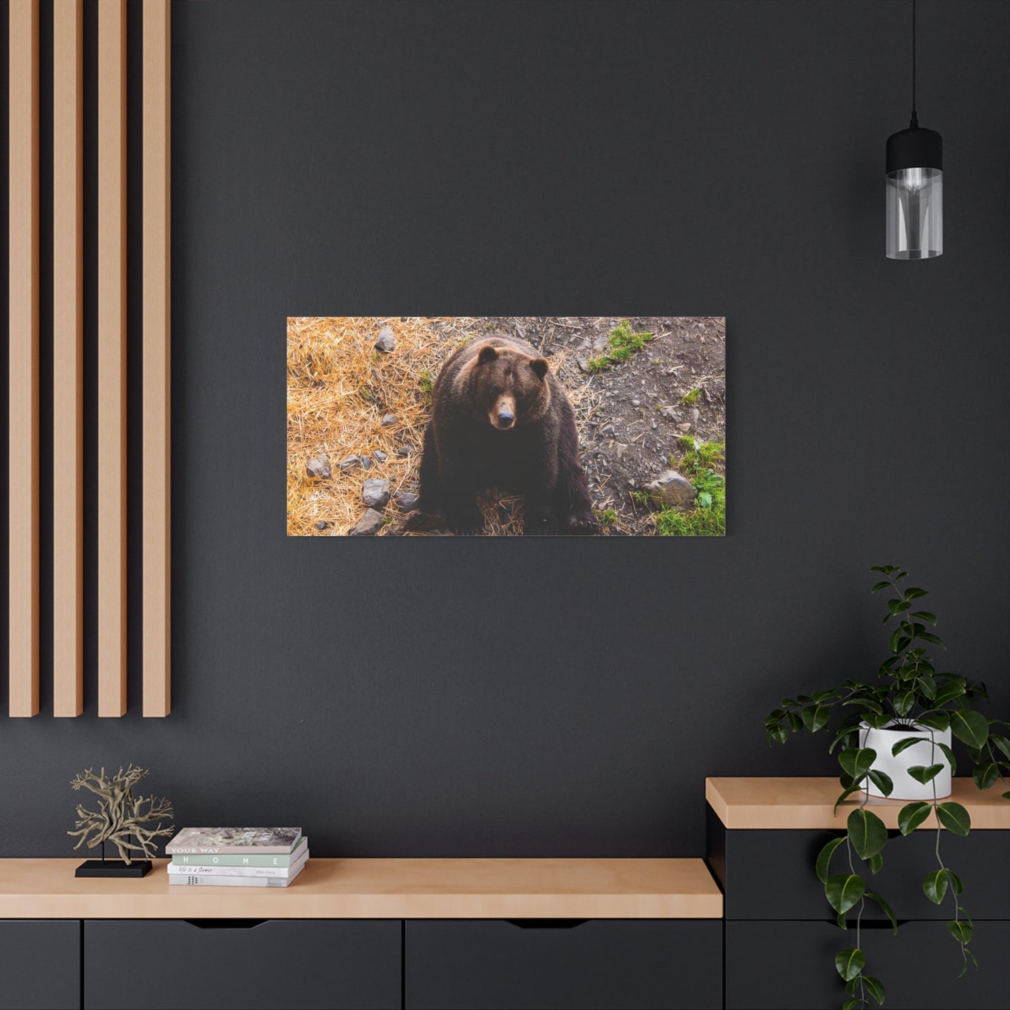 Canvas Print - Staring Bear Photograph