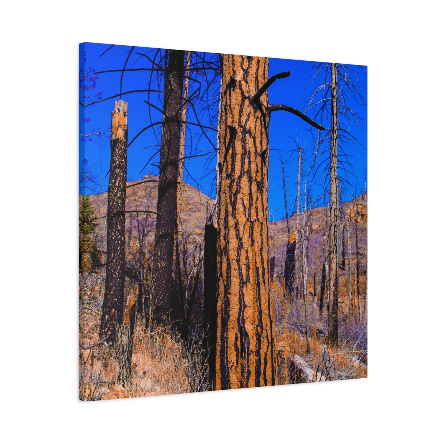Canvas Print - Thunder Struck Tree Photo