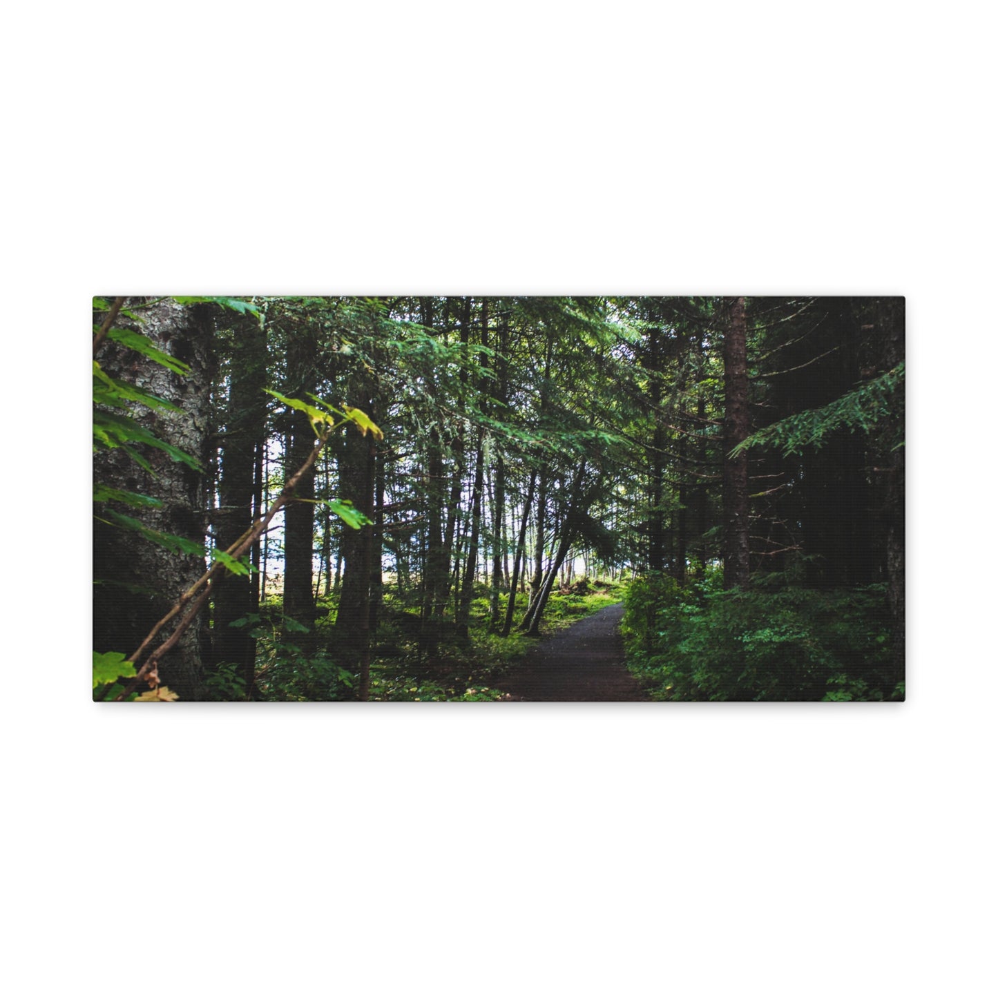 Copy of Canvas Art Print - Trail Through The Trees-Photograph