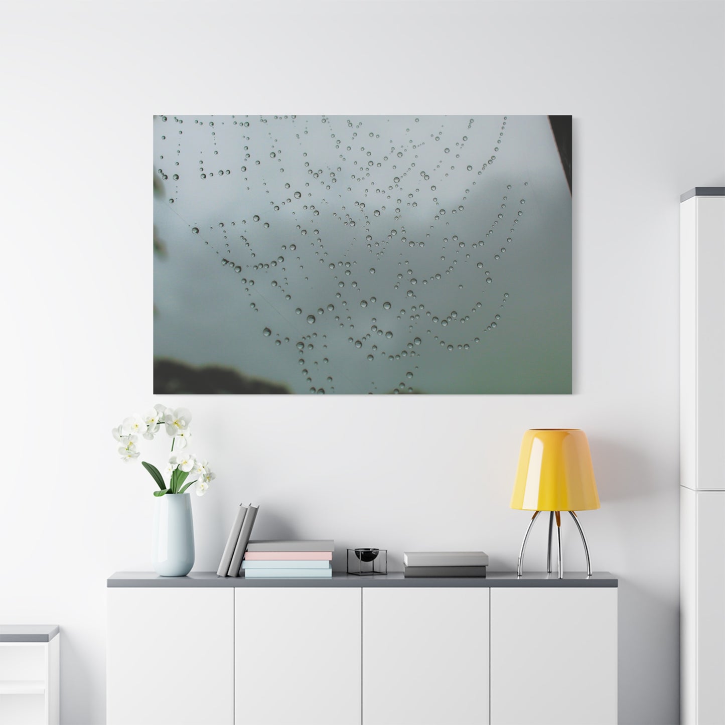 Canvas Print - Morning Dew on Spider Web Photo