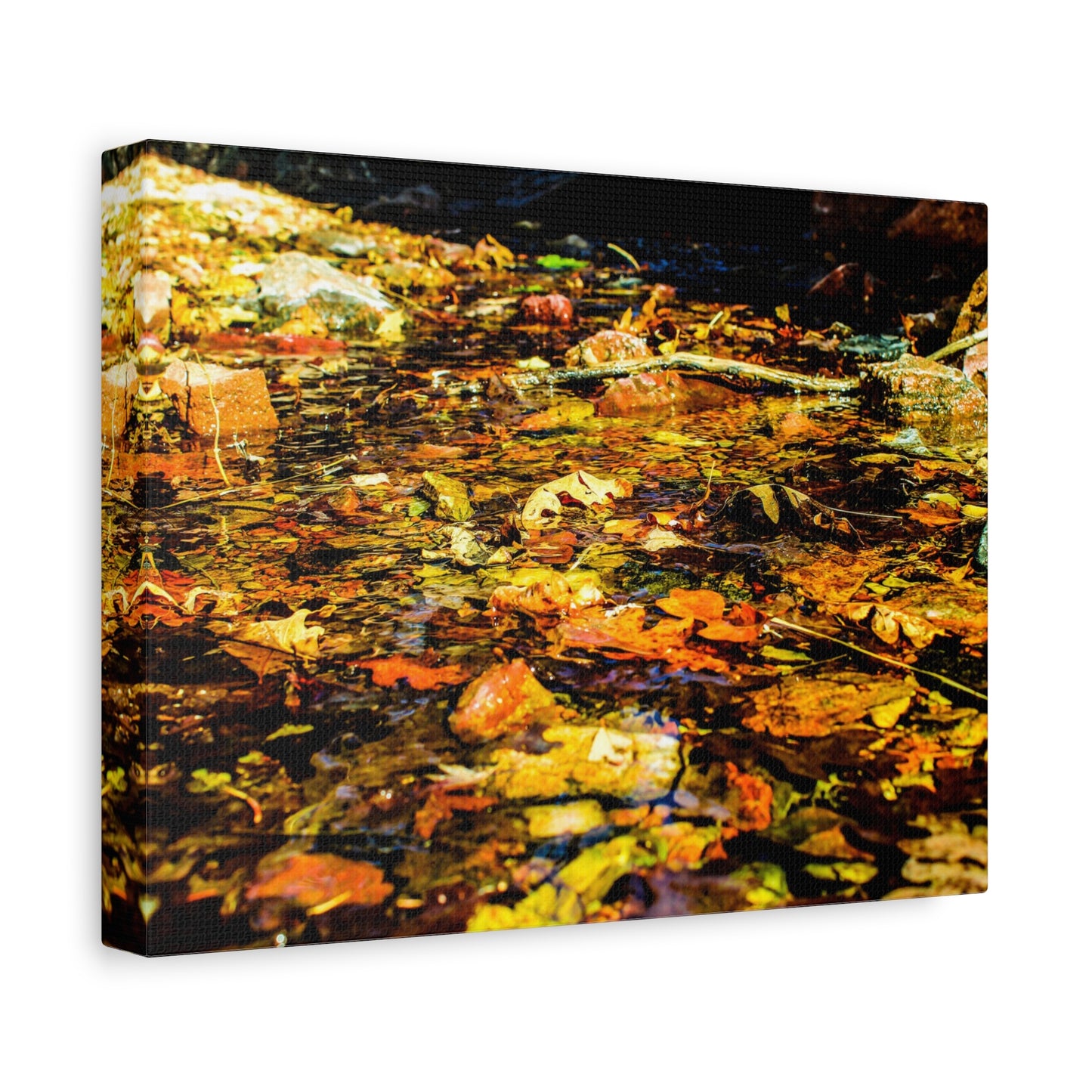 Canvas Print - Fall Leaves in Quiet Stream Photography