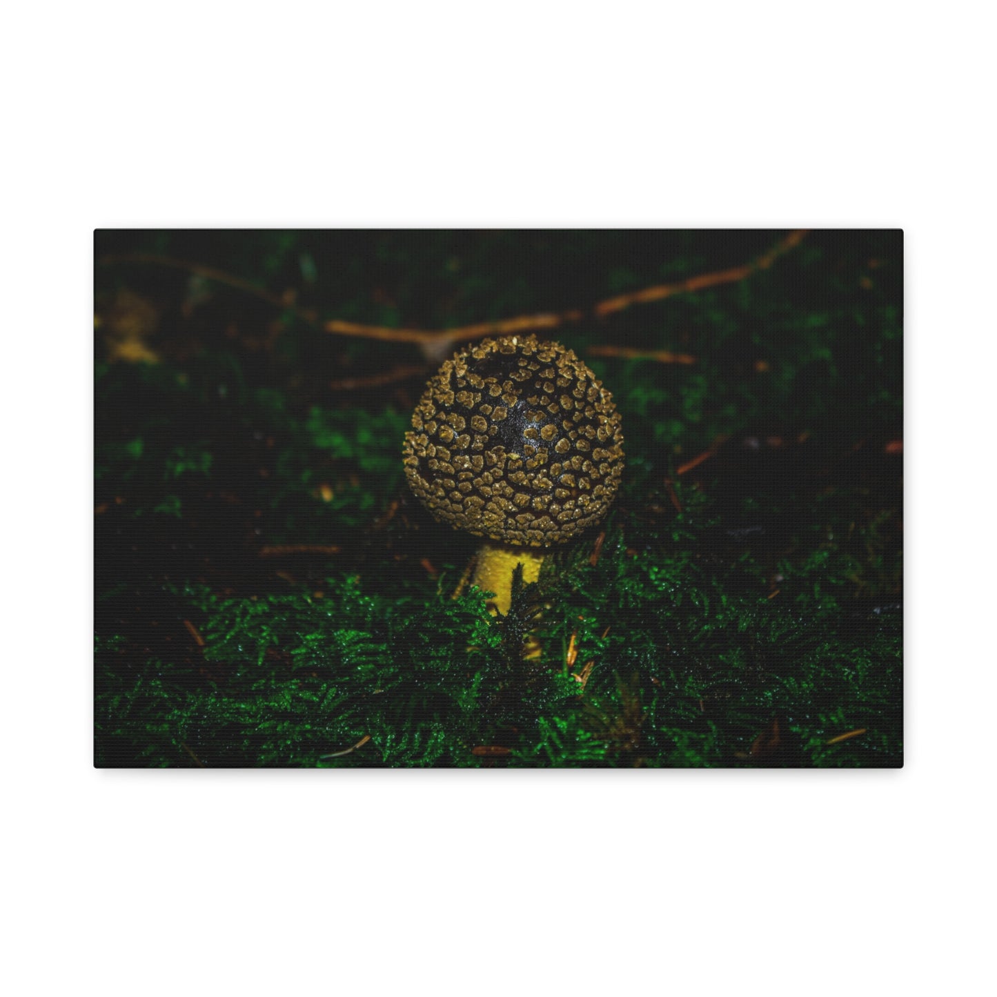 Canvas Print - Micro Mushroom Design