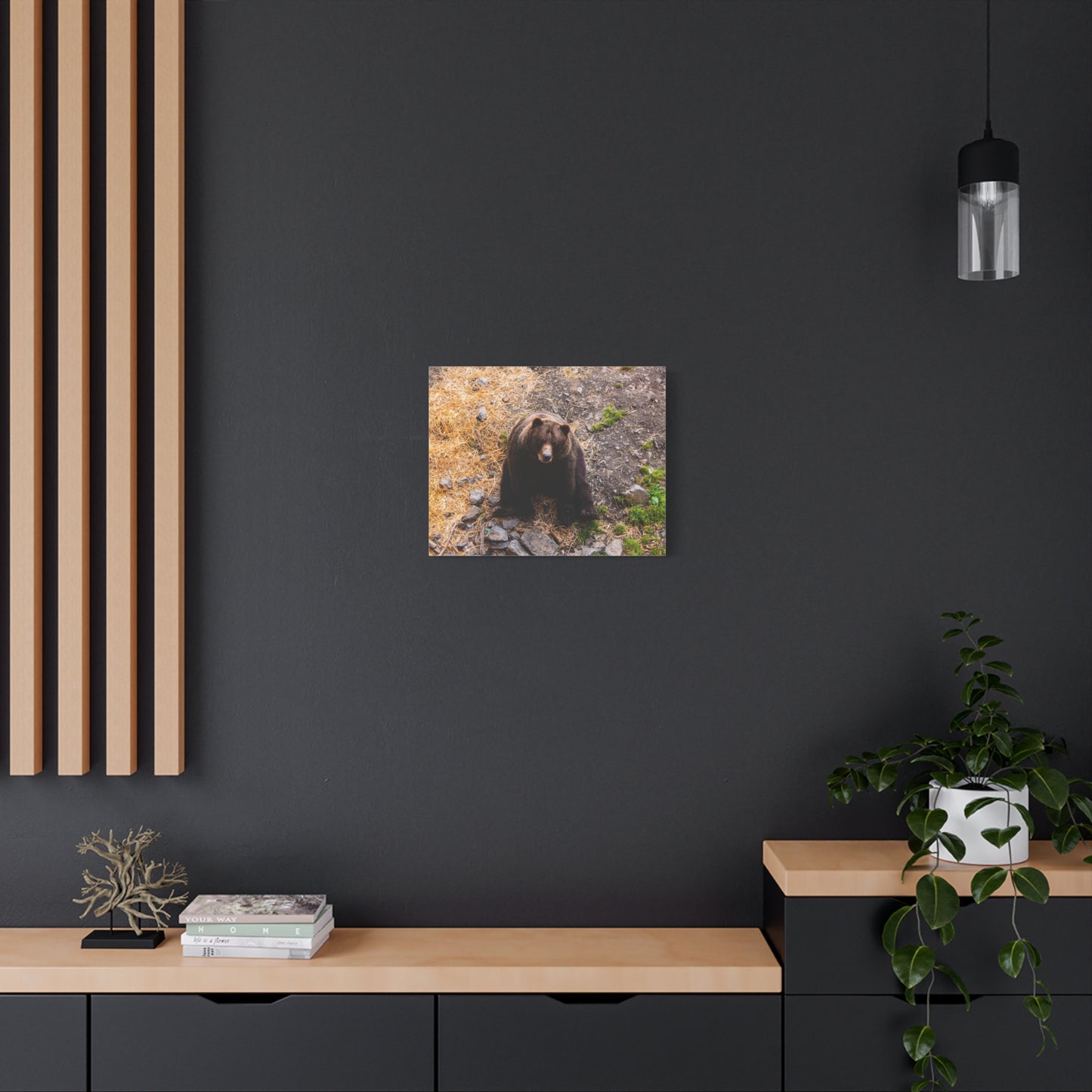 Canvas Print - Staring Bear Photograph