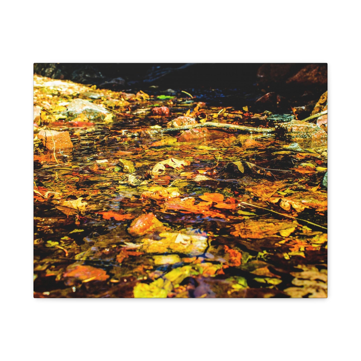 Canvas Print - Fall Leaves in Quiet Stream Photography
