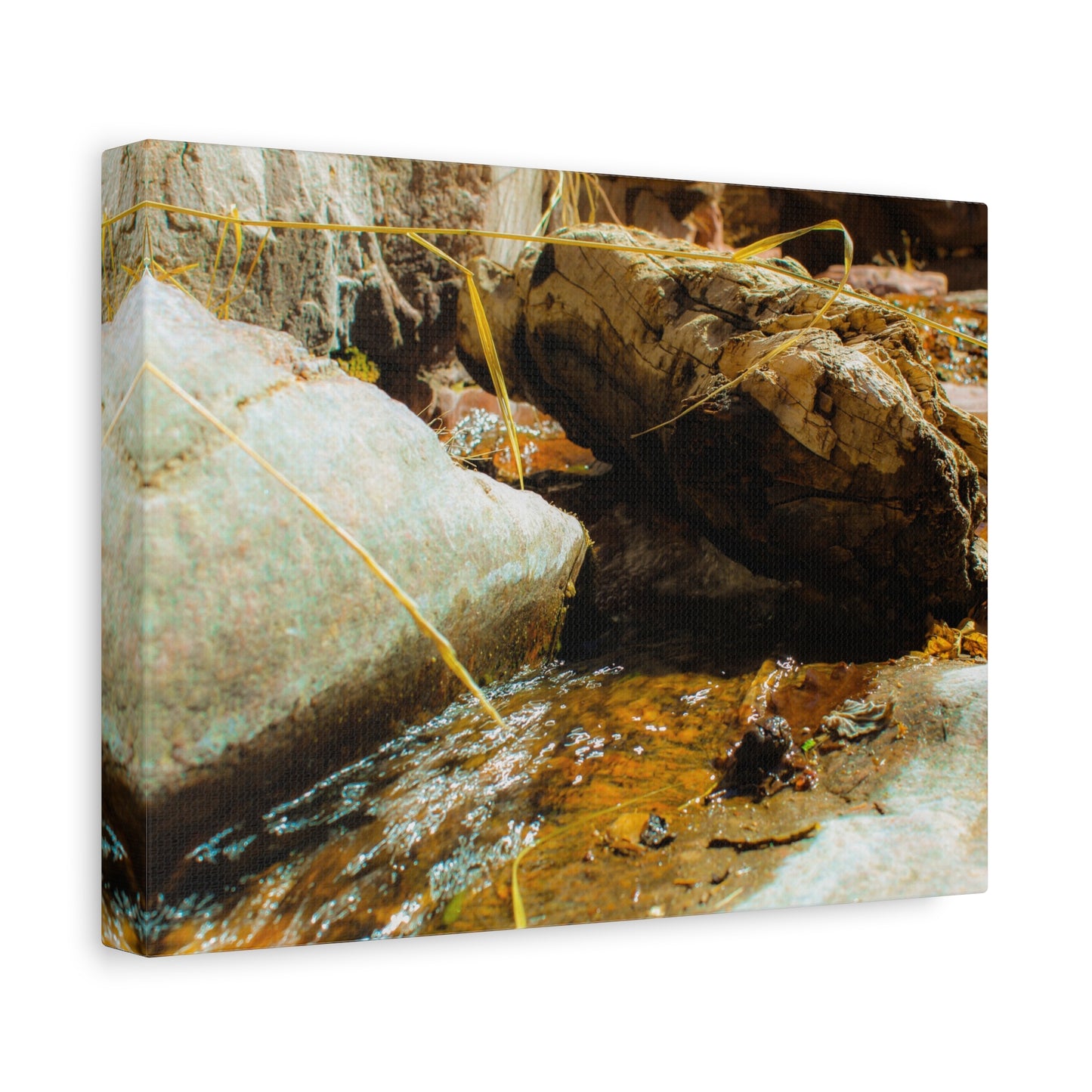 Canvas Print Lazy Log Photography