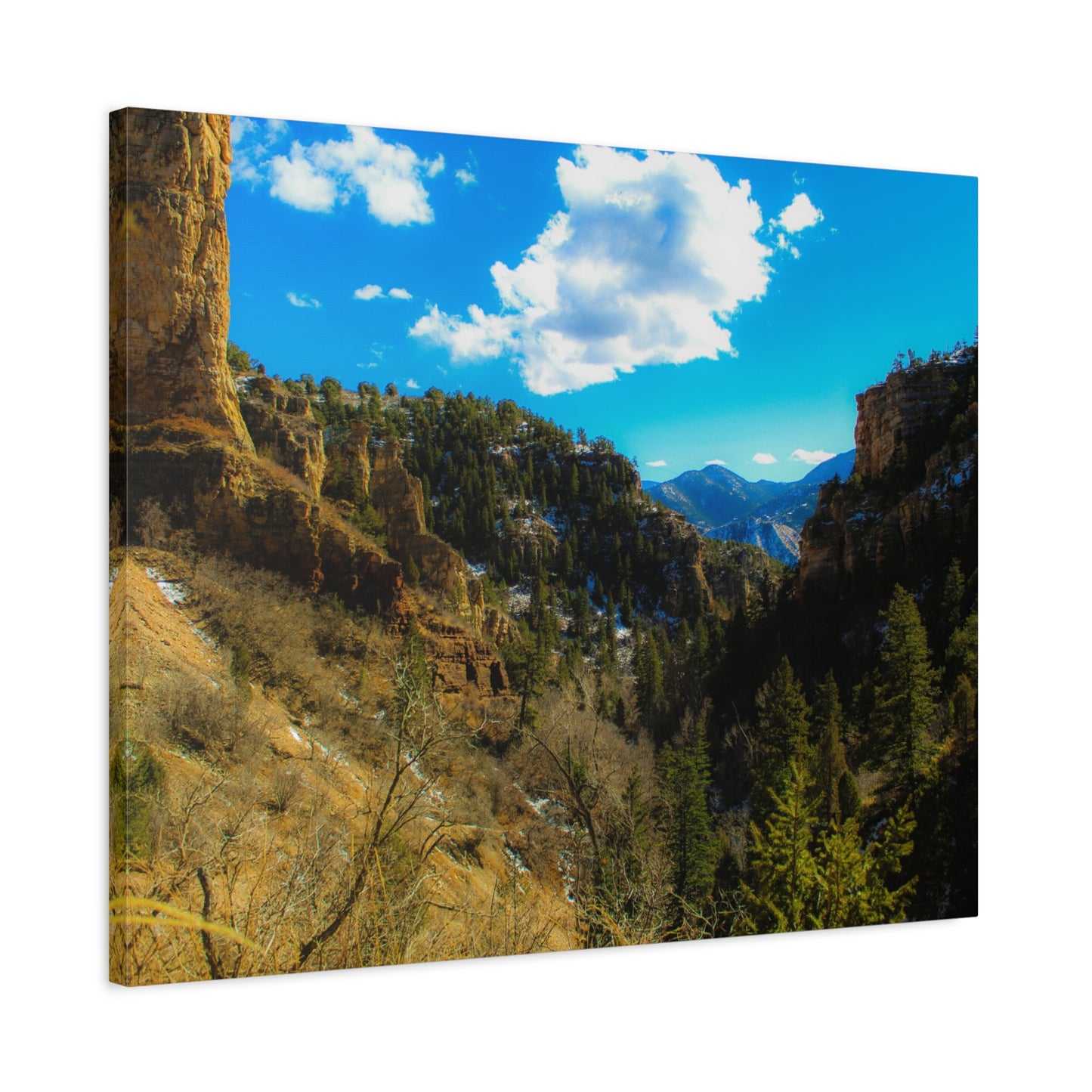 Canvas Art Print - Valley with Trees and Blue Sky Photography