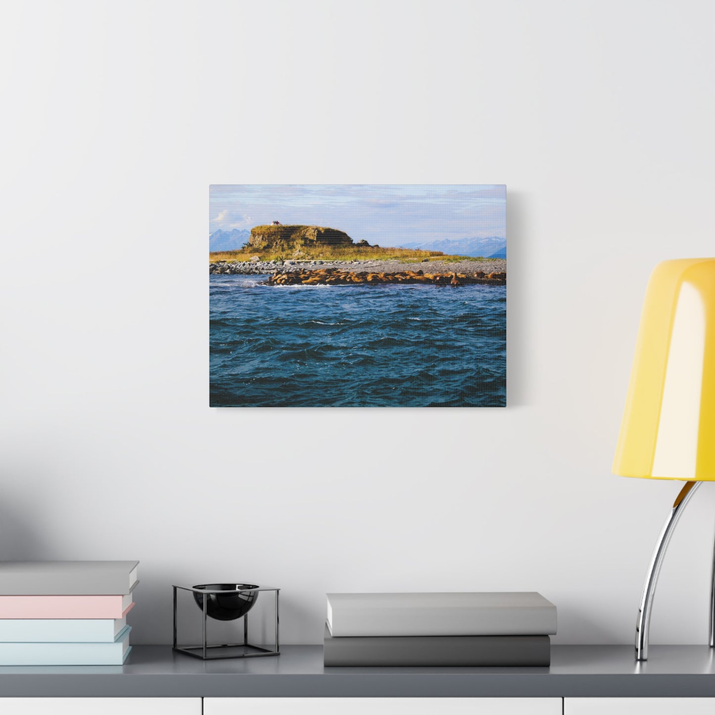 Canvas Print - Photo of Seal Island