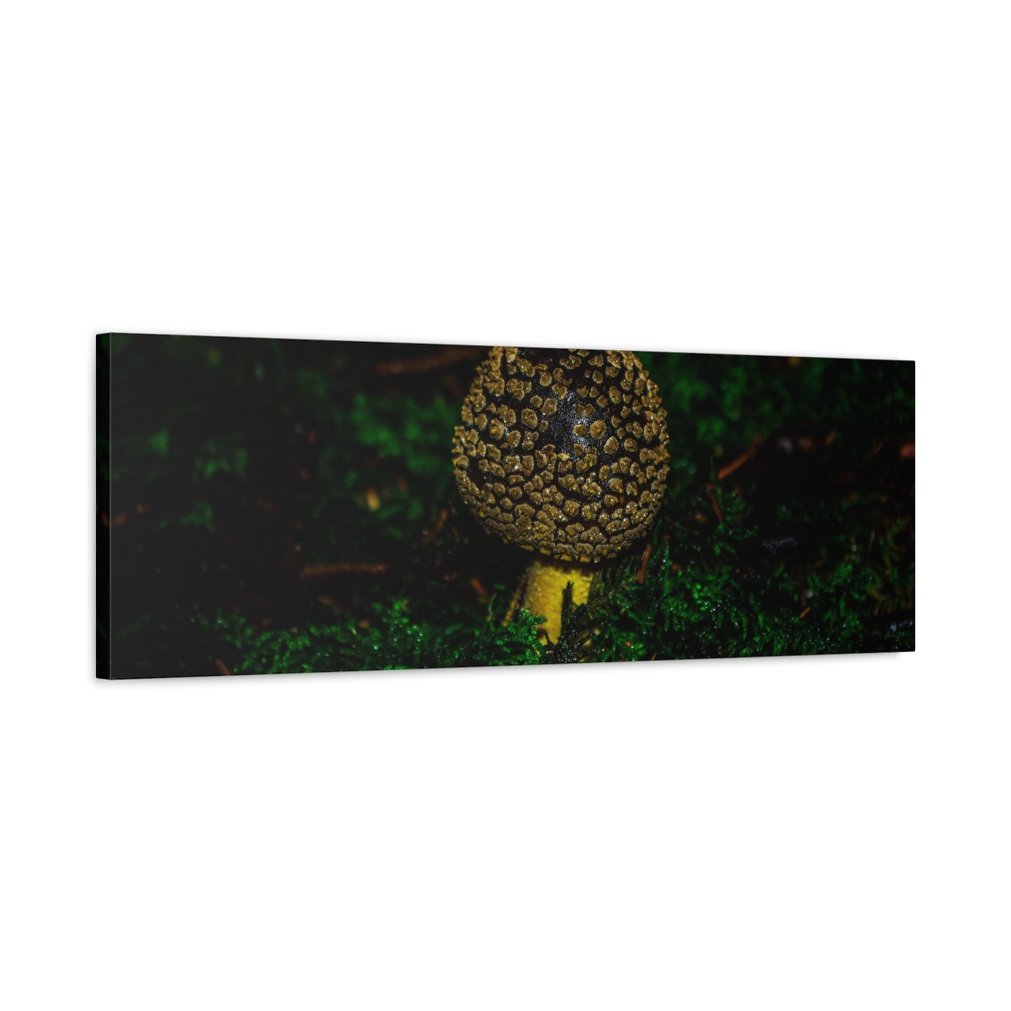 Canvas Print - Micro Mushroom Design
