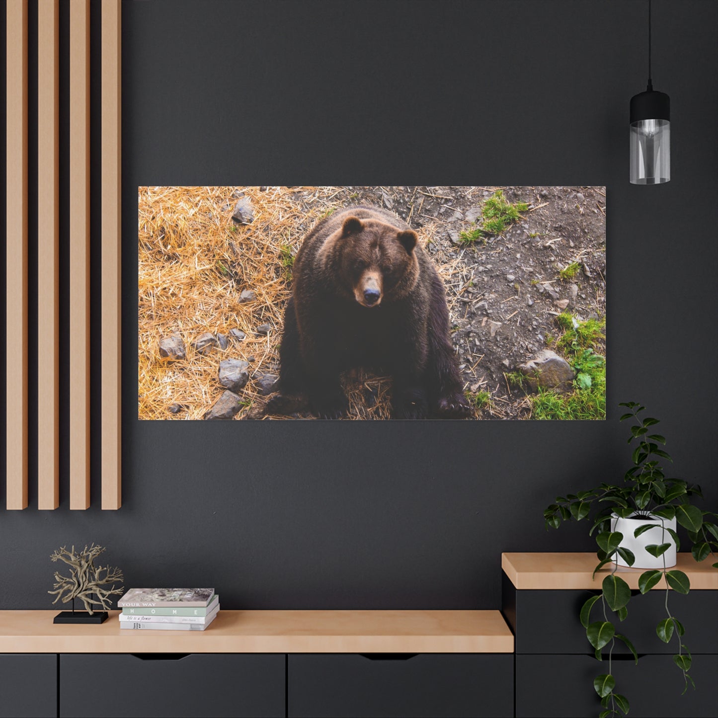 Canvas Print - Staring Bear Photograph
