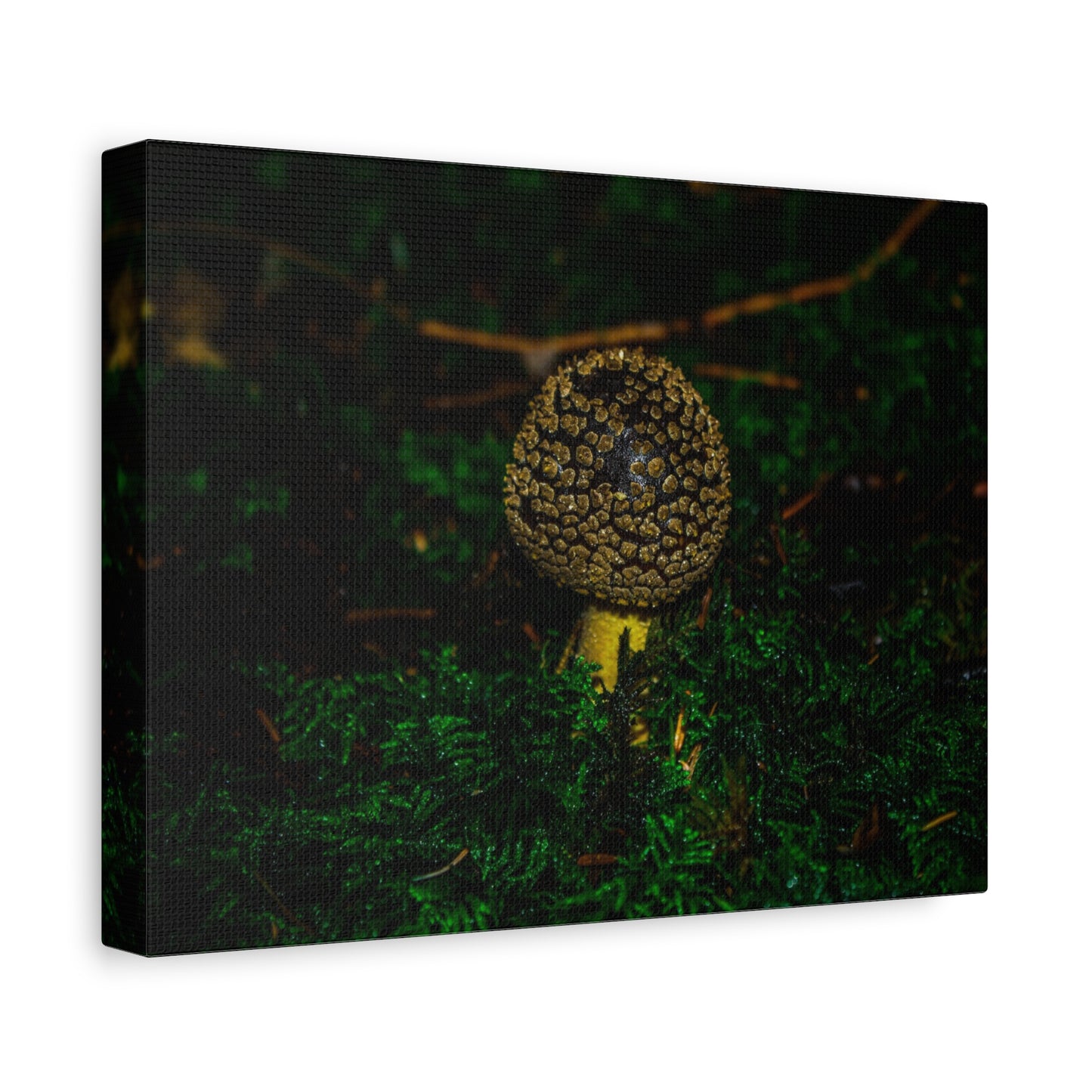 Canvas Print - Micro Mushroom Design