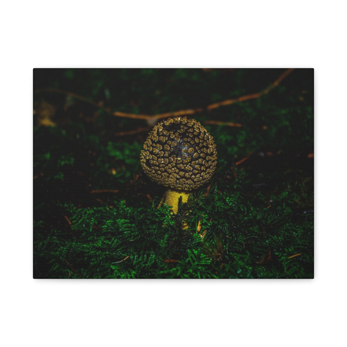 Canvas Print - Micro Mushroom Design