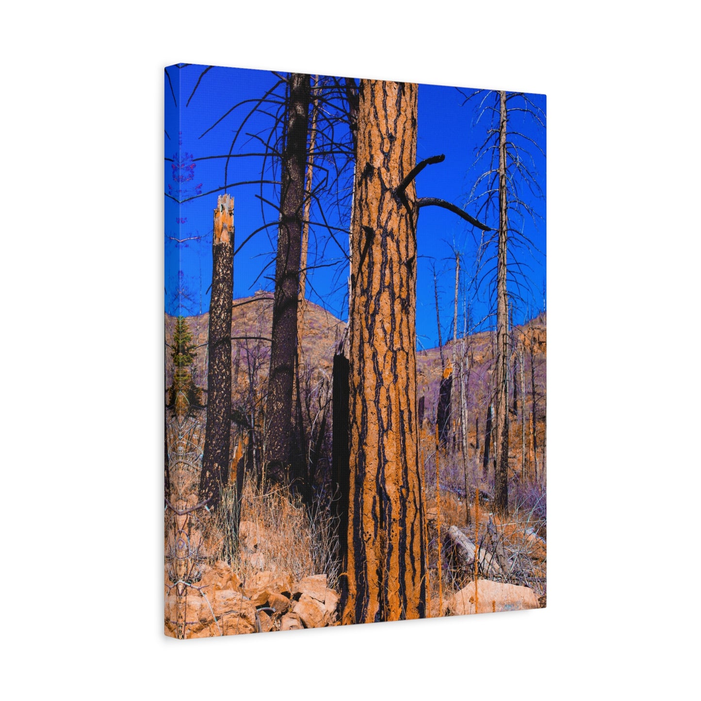 Canvas Print - Thunder Struck Tree Photo