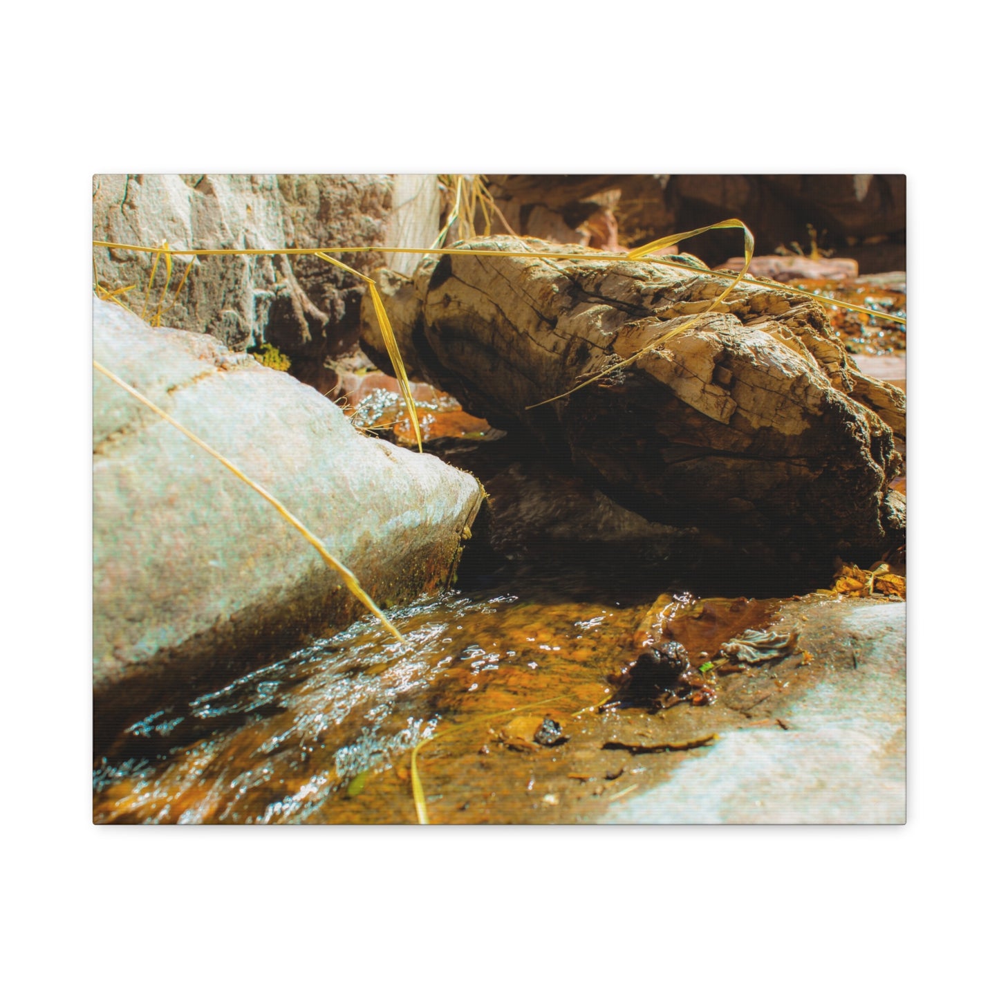 Canvas Print Lazy Log Photography