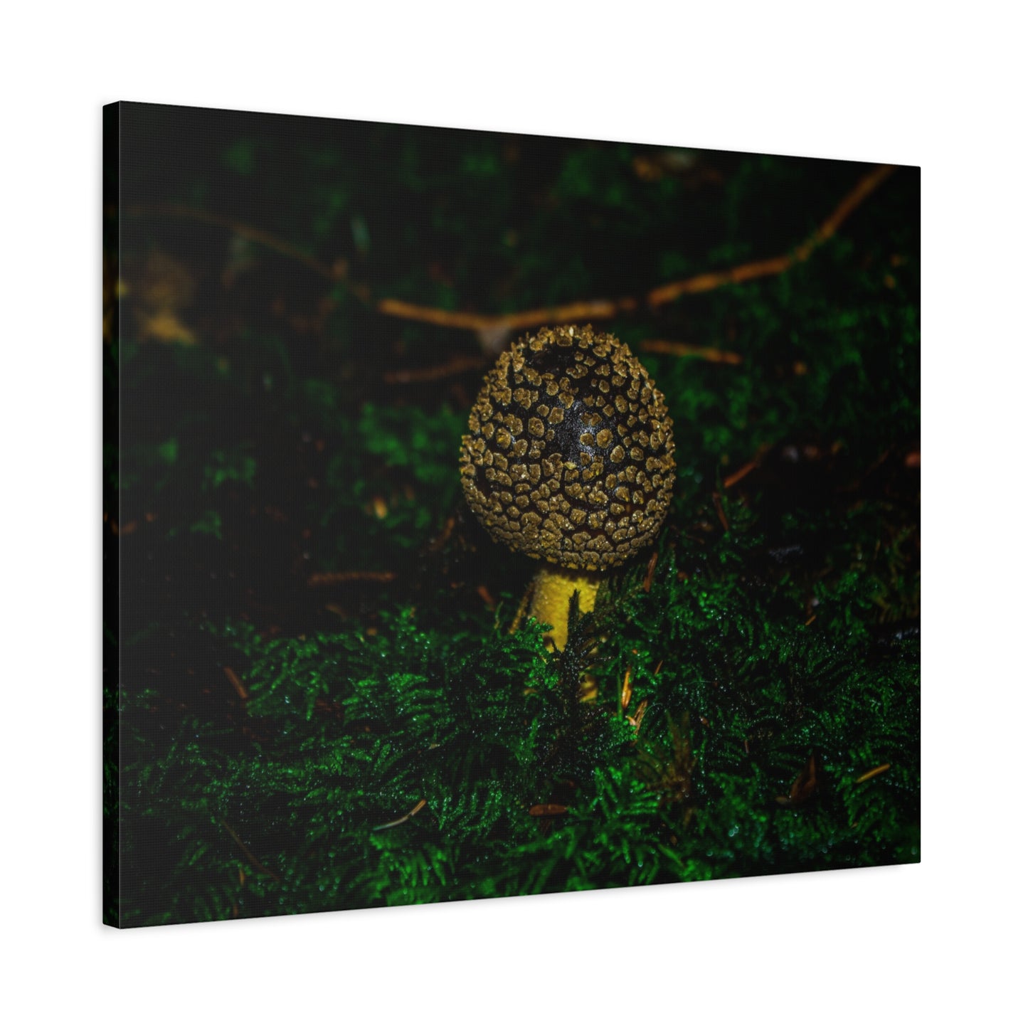 Canvas Print - Micro Mushroom Design
