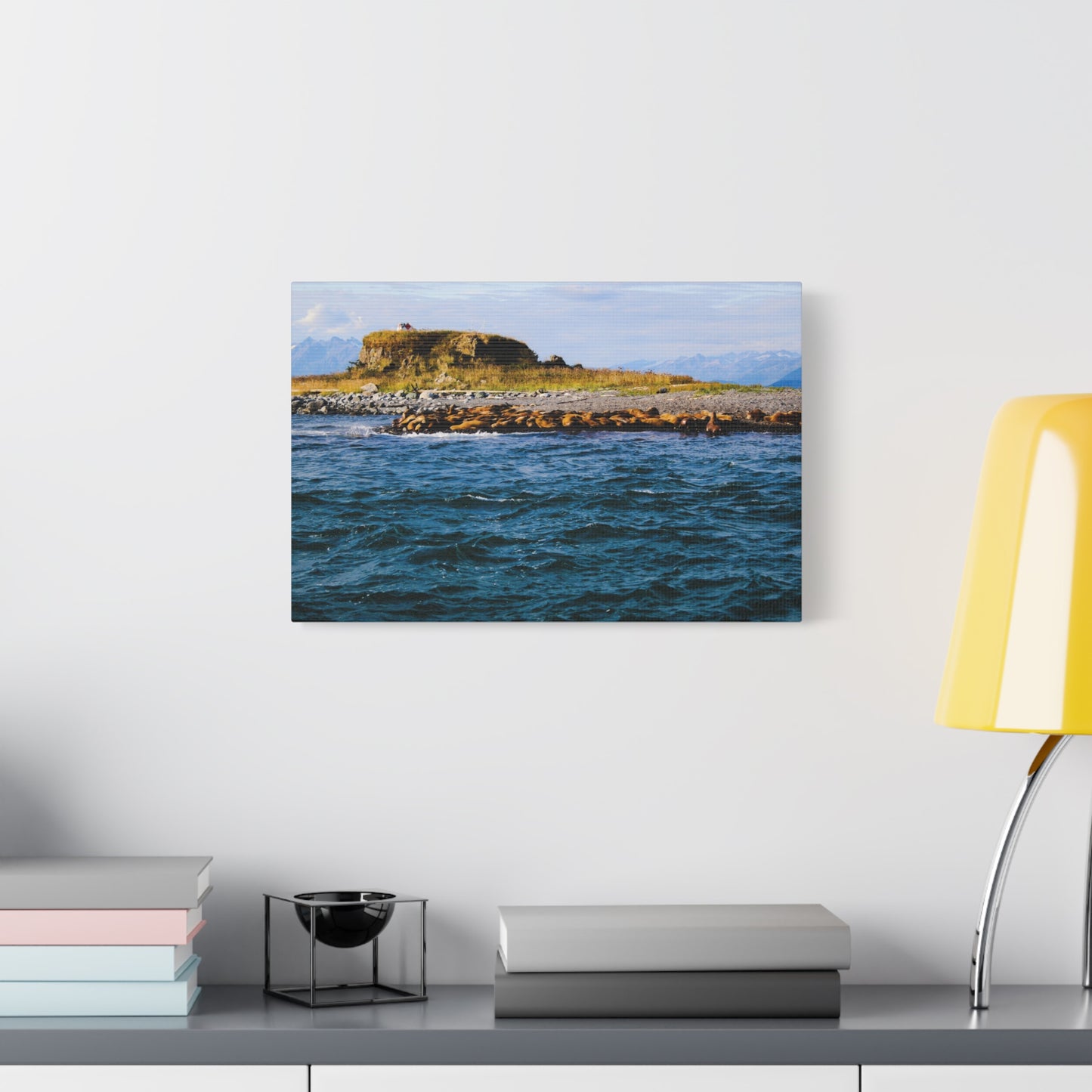 Canvas Print - Photo of Seal Island
