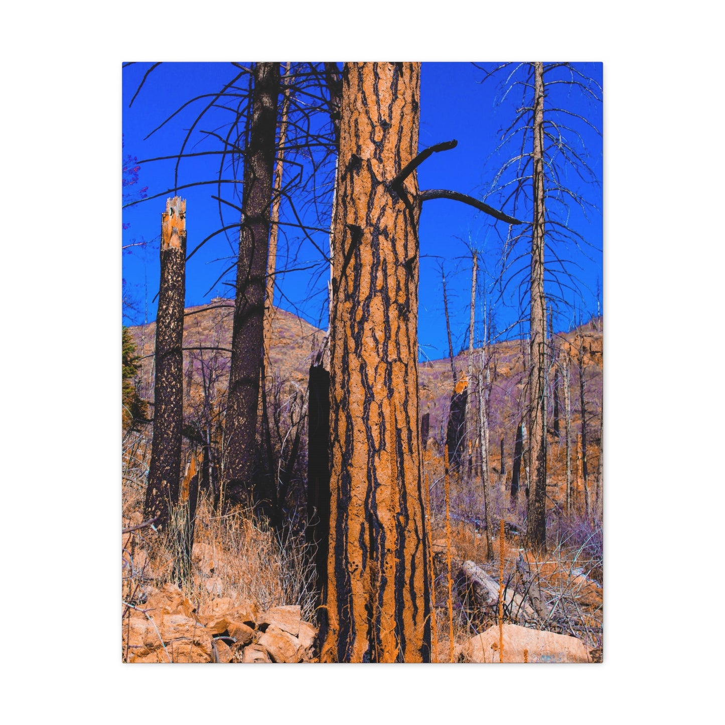 Canvas Print - Thunder Struck Tree Photo