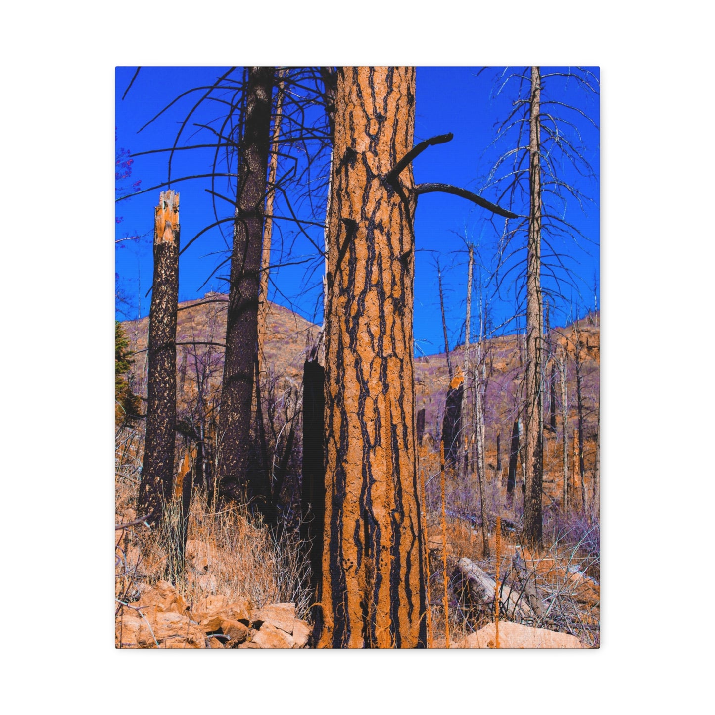 Canvas Print - Thunder Struck Tree Photo