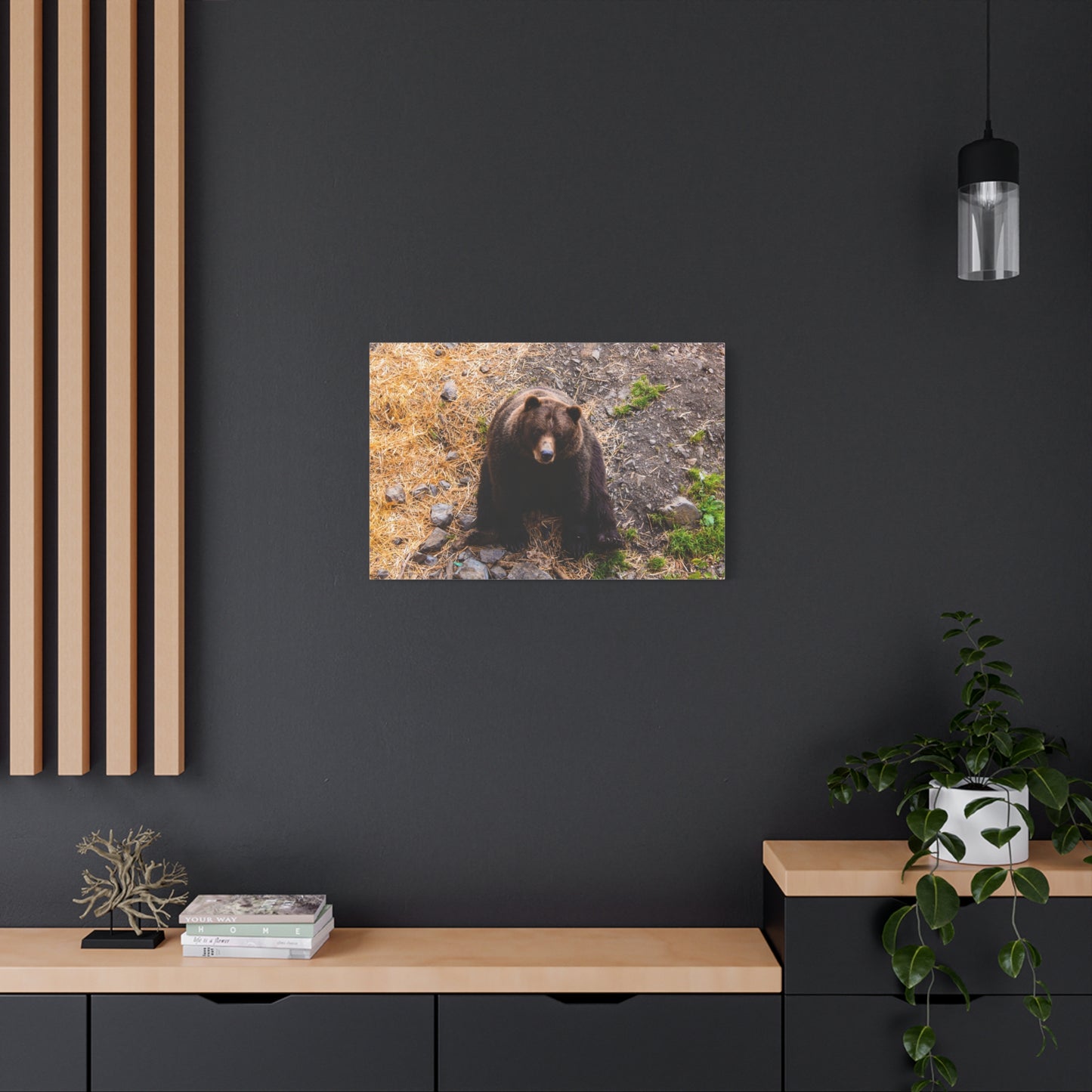 Canvas Print - Staring Bear Photograph