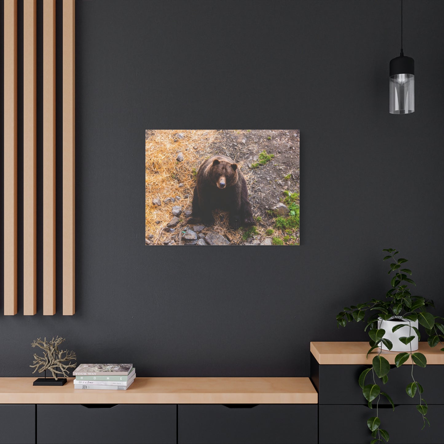 Canvas Print - Staring Bear Photograph