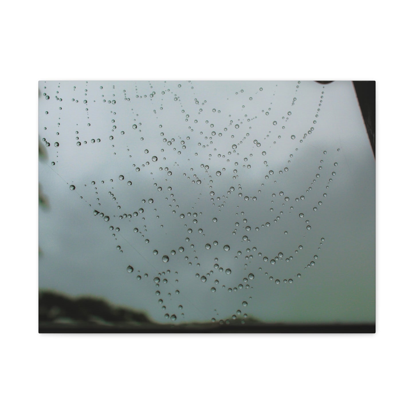 Canvas Print - Morning Dew on Spider Web Photo