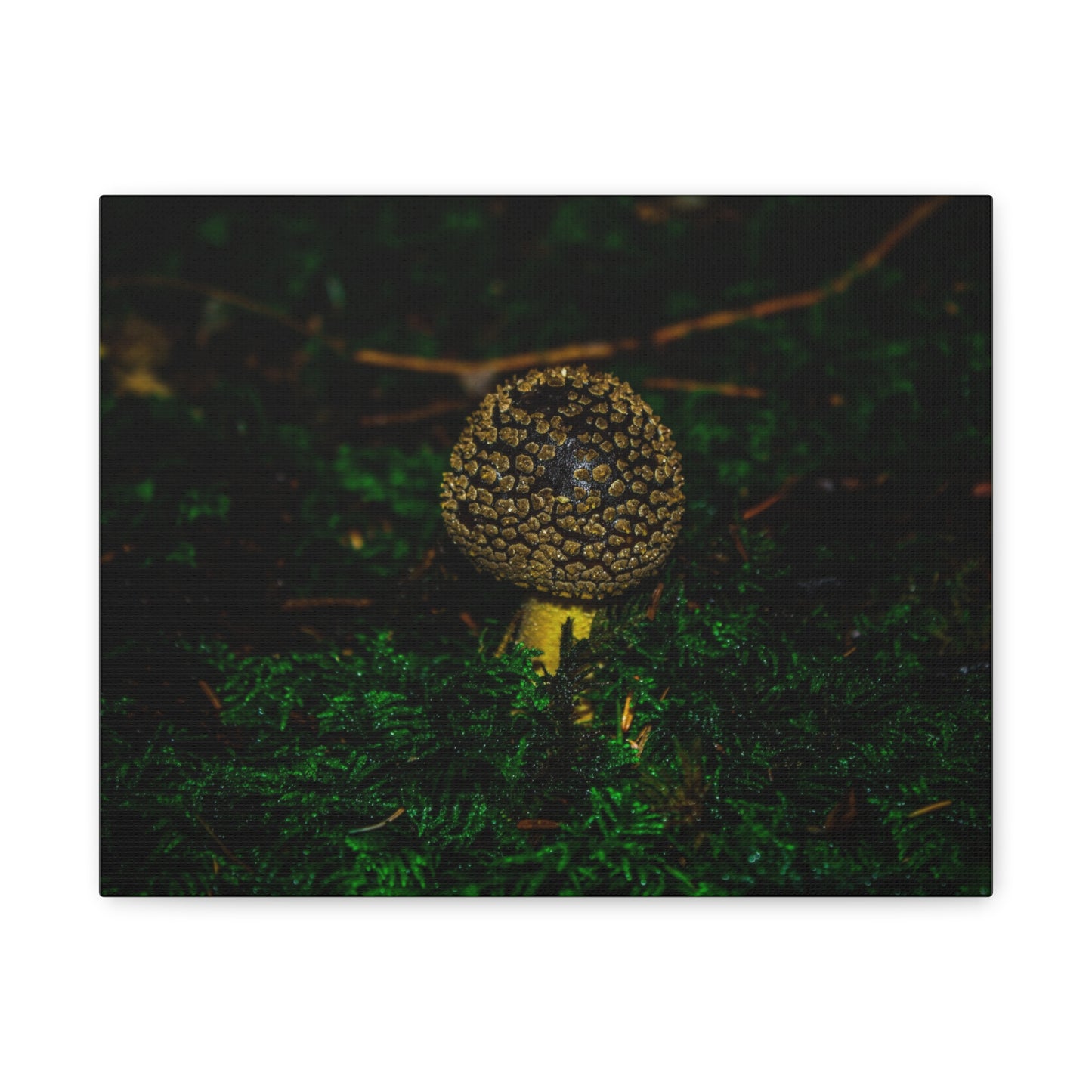 Canvas Print - Micro Mushroom Design