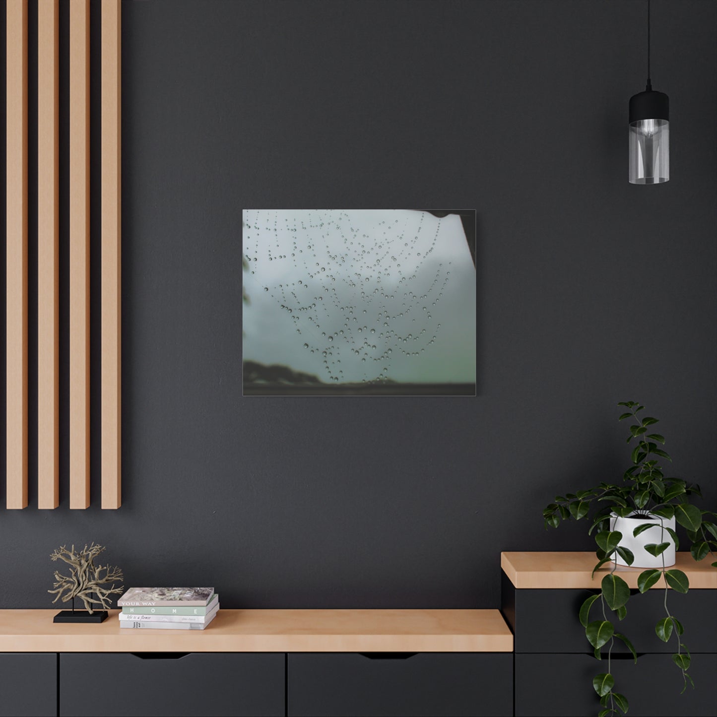 Canvas Print - Morning Dew on Spider Web Photo
