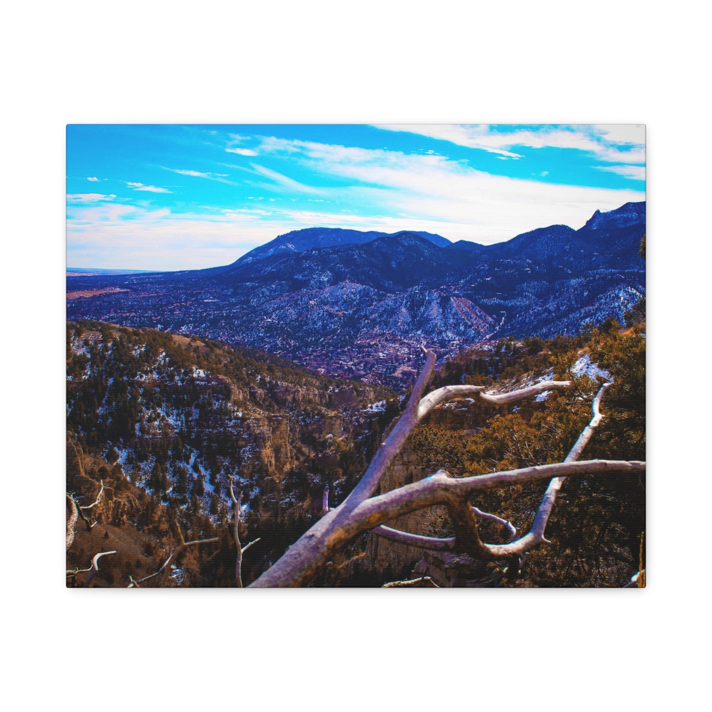 Canvas Print - Out On A Limb Mountain Photography