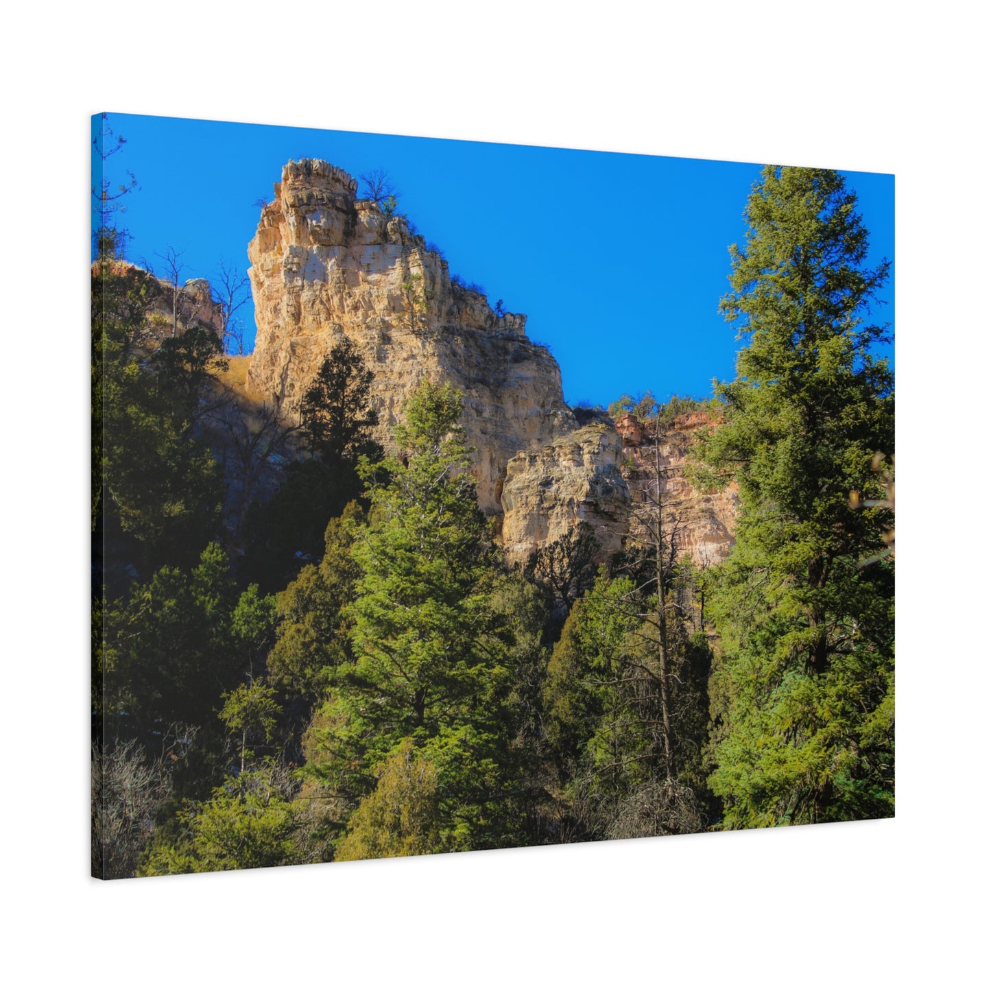 Canvas Print - Towering Cliff Green Trees Blue Skies Photography