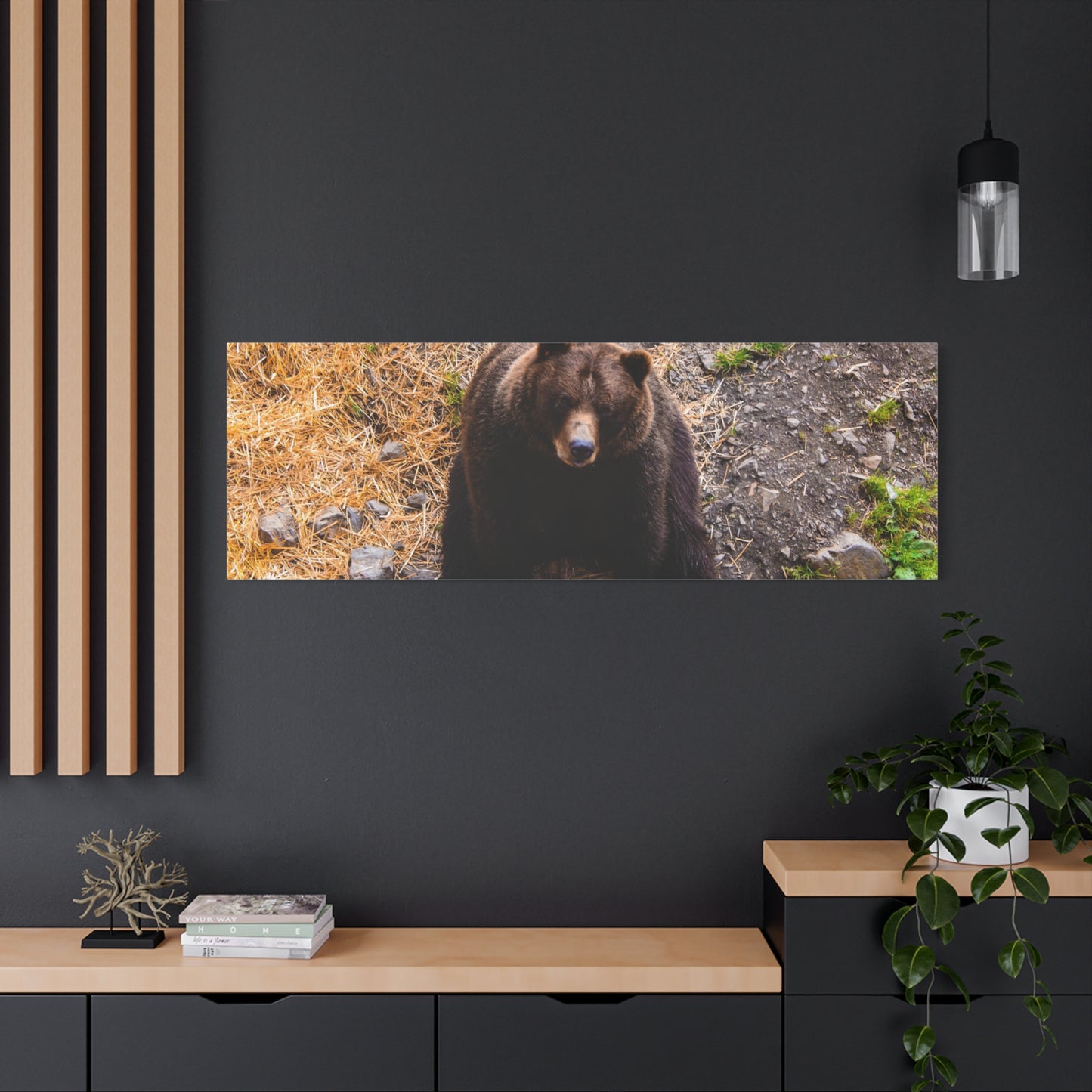 Canvas Print - Staring Bear Photograph