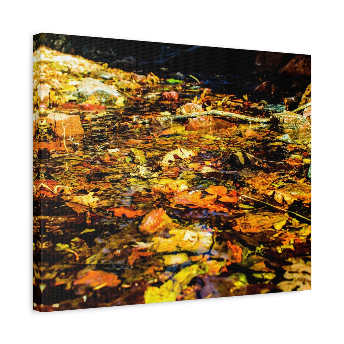 Canvas Print - Fall Leaves in Quiet Stream Photography