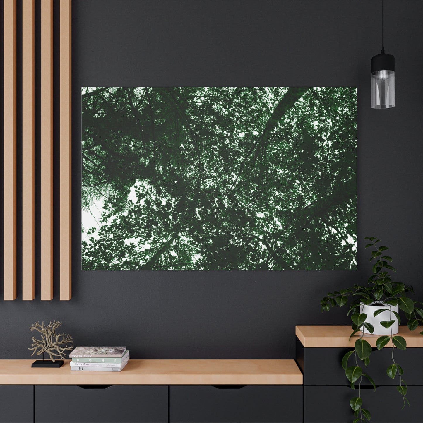 Canvas Print - Towering Tree Tops Photography