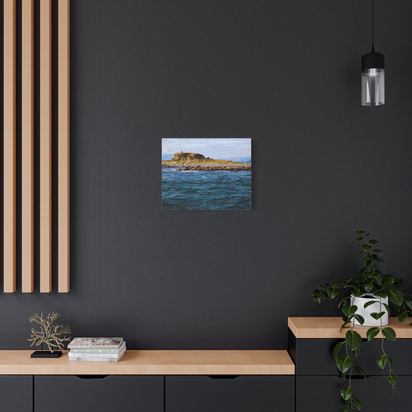 Canvas Print - Photo of Seal Island