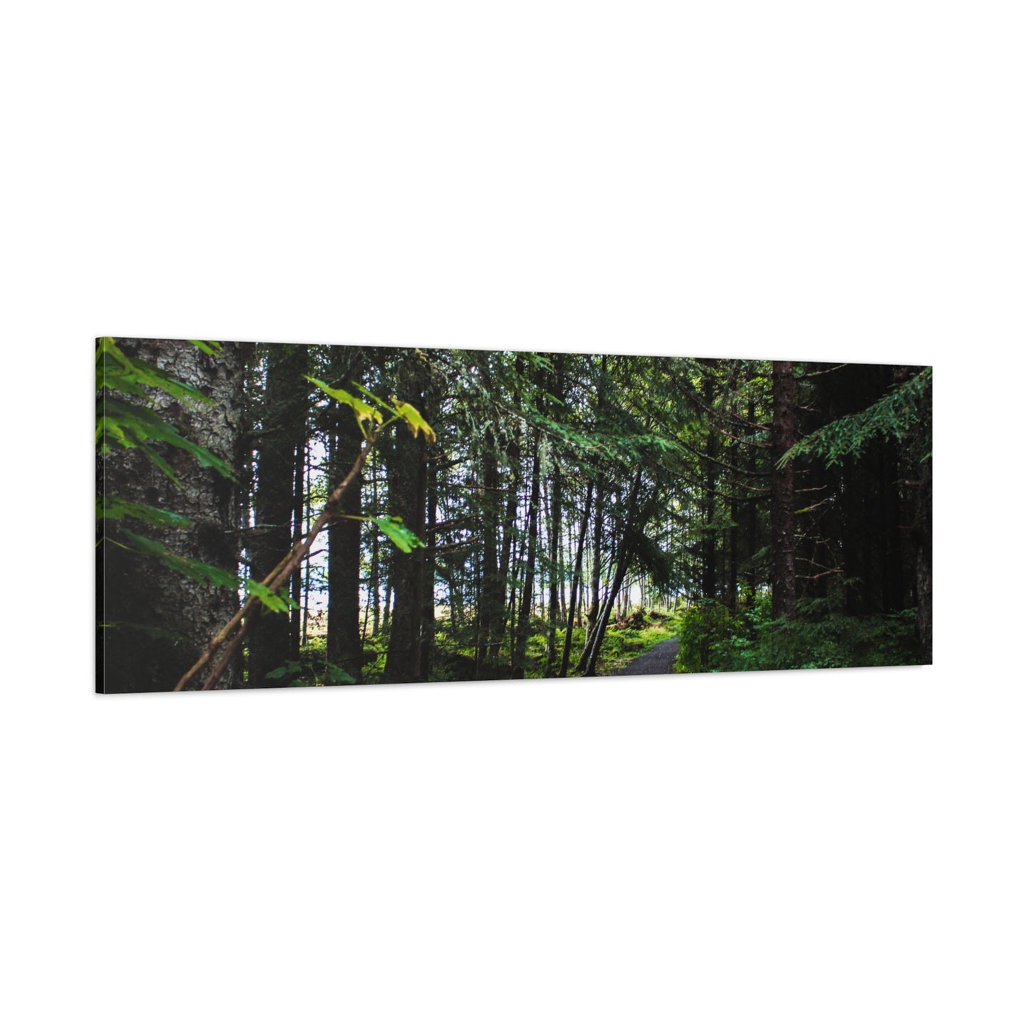 Copy of Canvas Art Print - Trail Through The Trees-Photograph