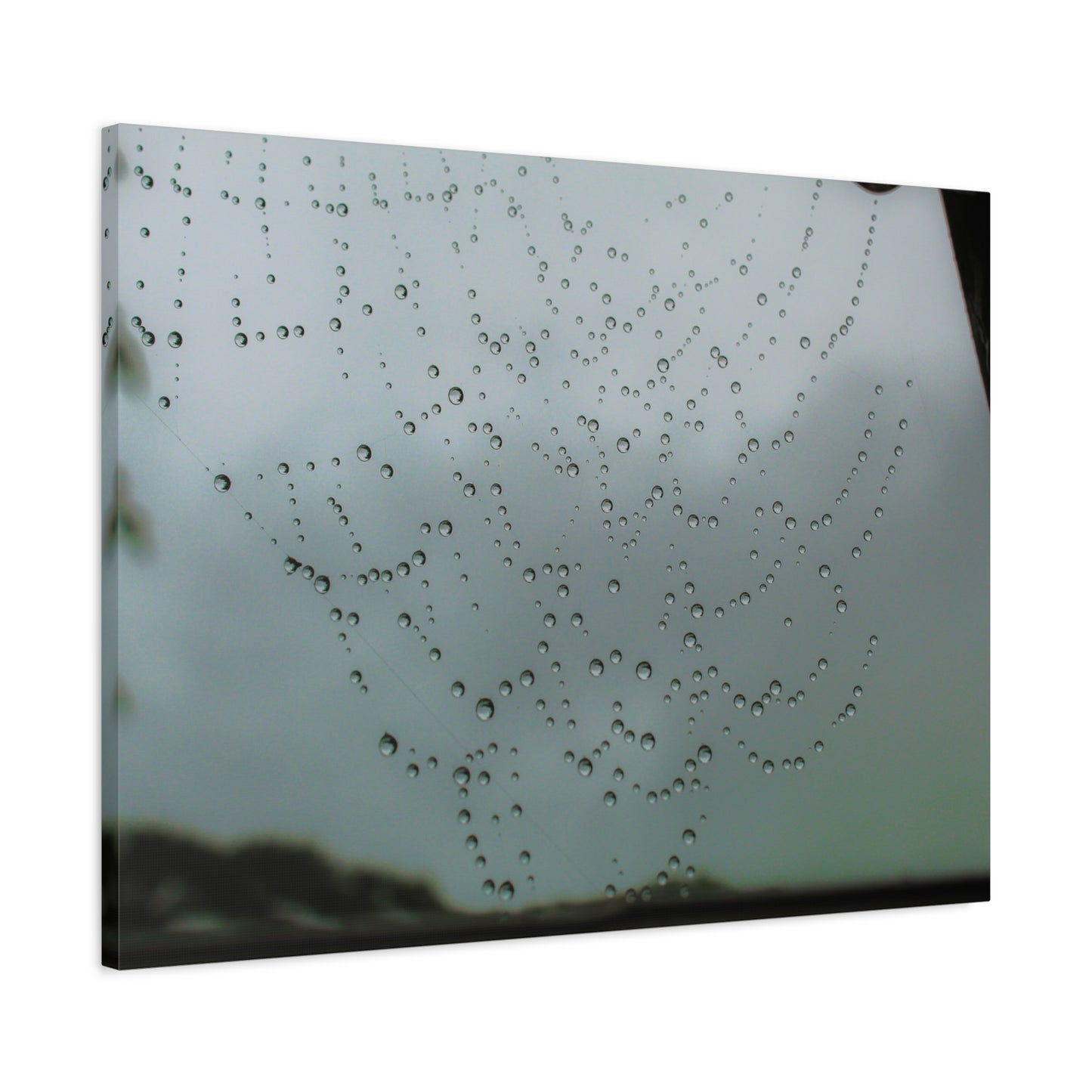 Canvas Print - Morning Dew on Spider Web Photo