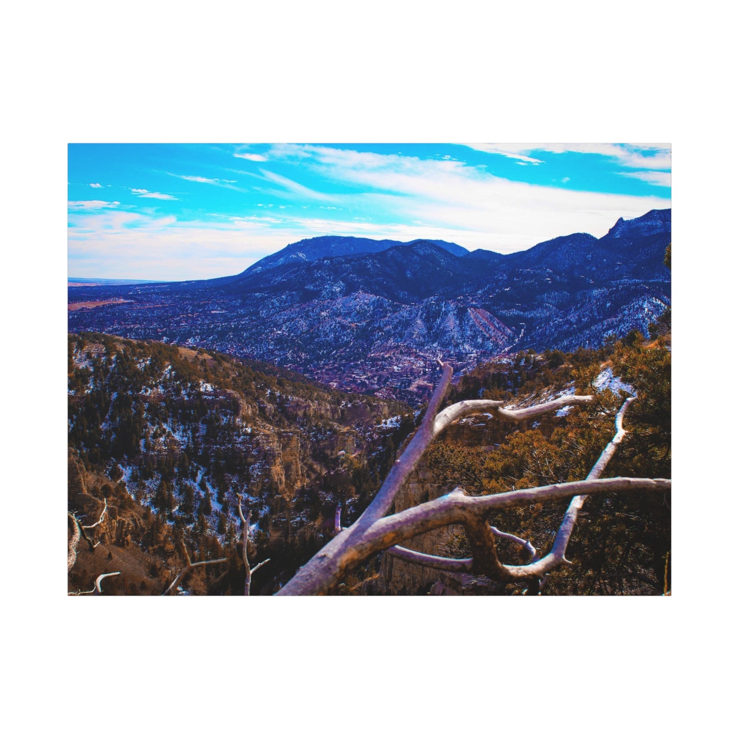 Canvas Print - Out On A Limb Mountain Photography
