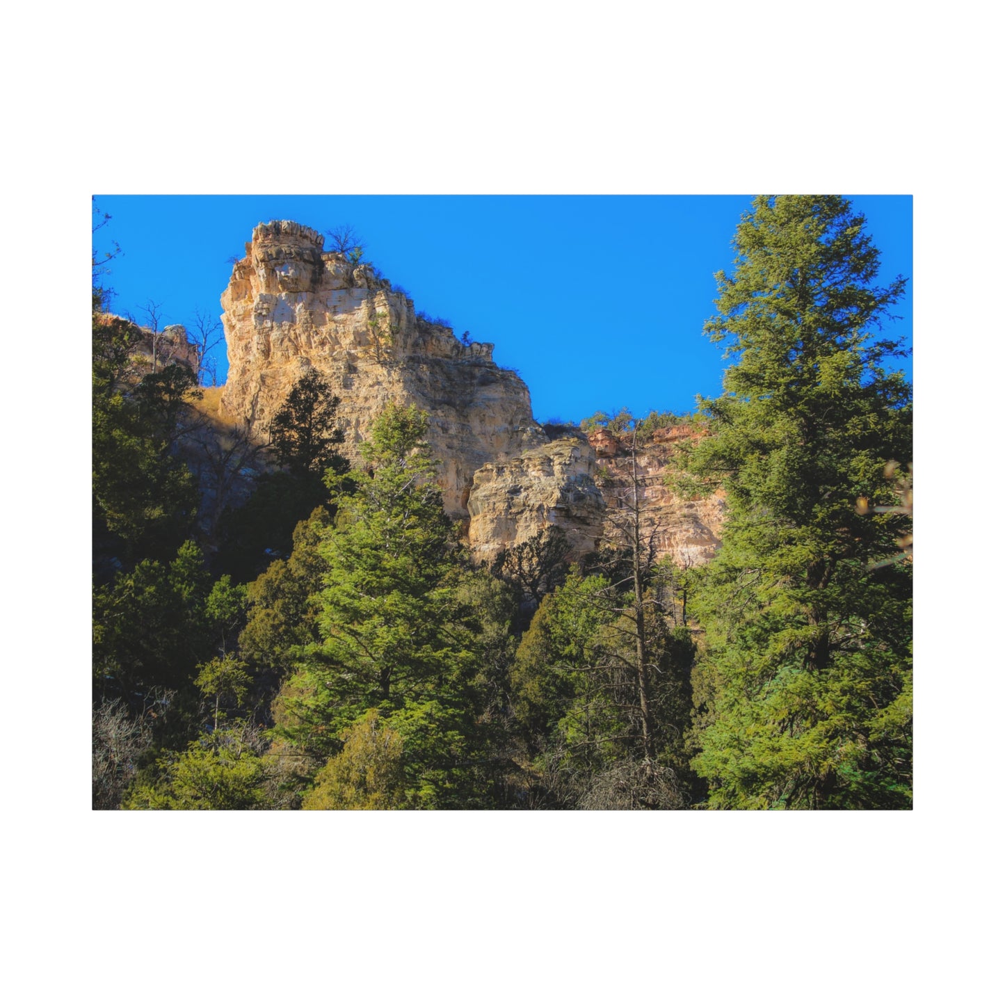 Canvas Print - Towering Cliff Green Trees Blue Skies Photography