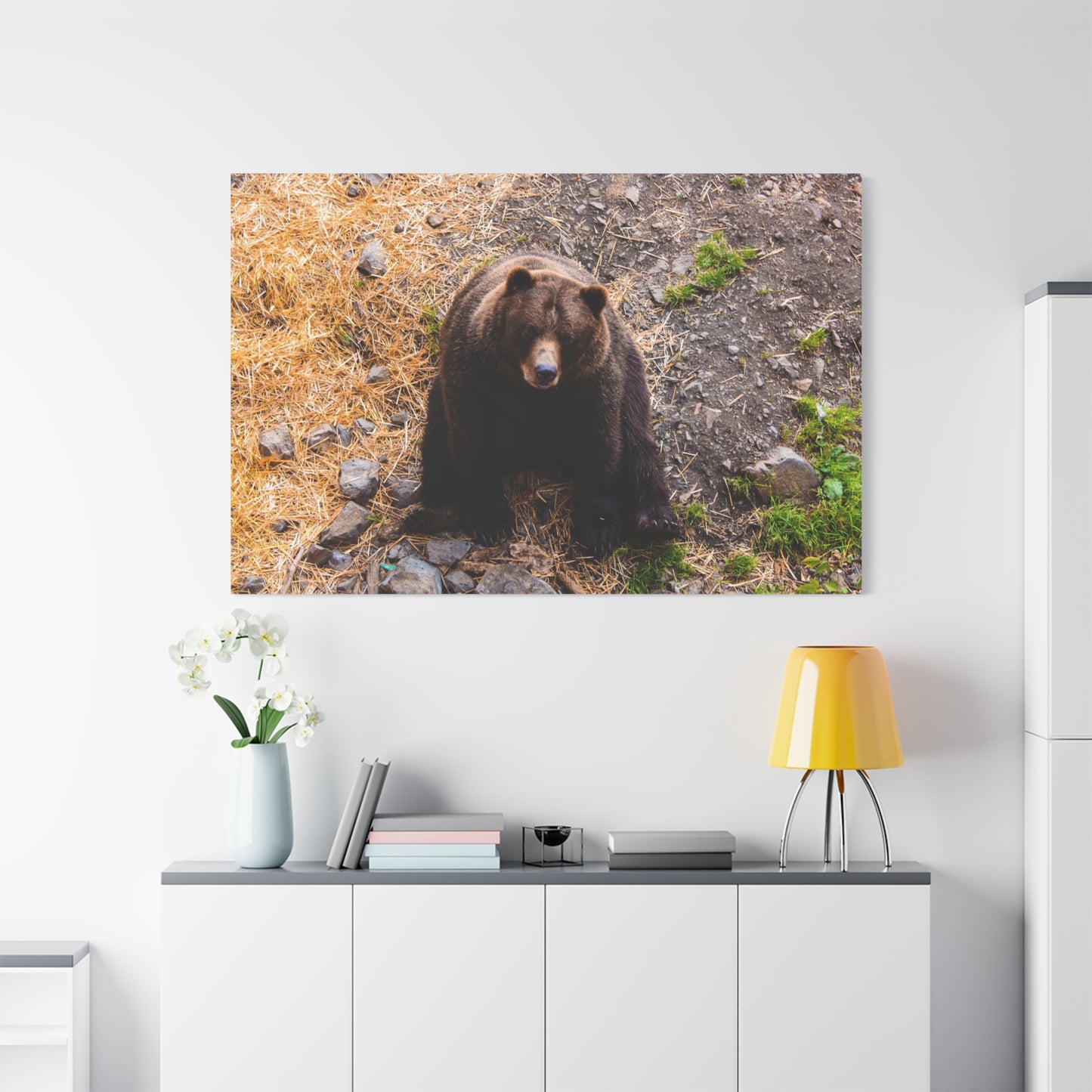 Canvas Print - Staring Bear Photograph